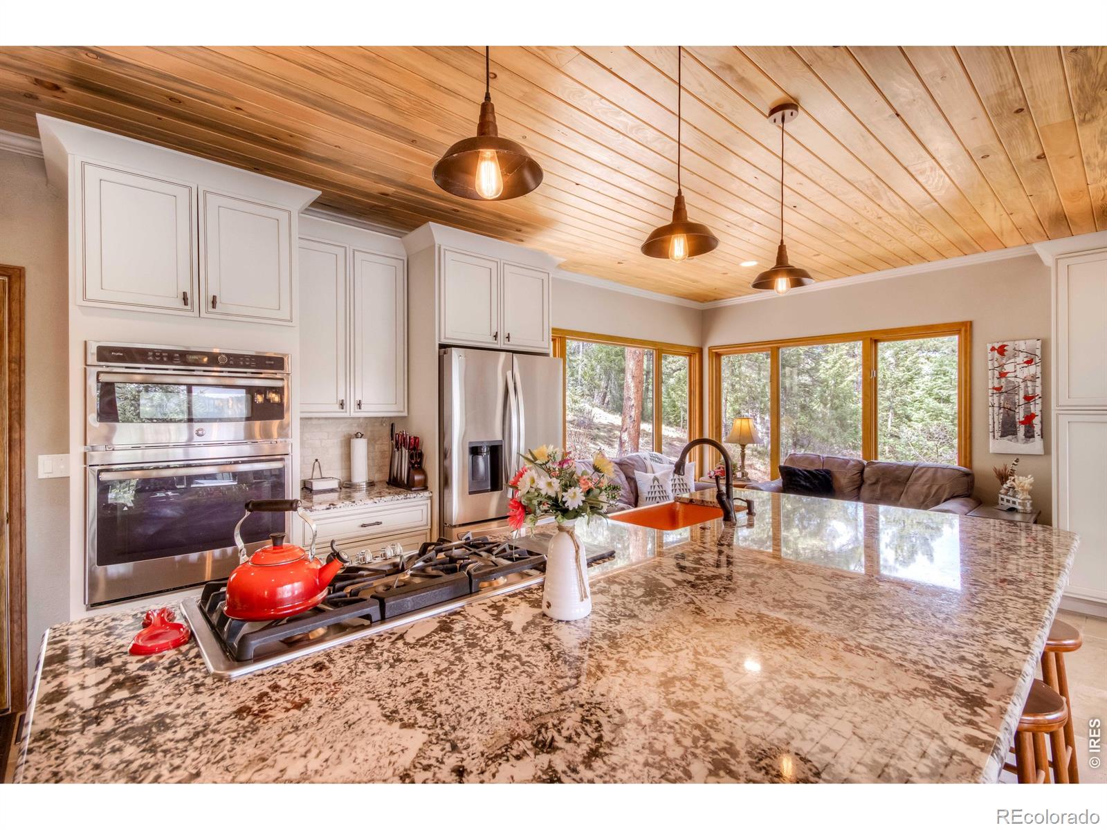 MLS Image #19 for 7008  bluff trail,morrison, Colorado