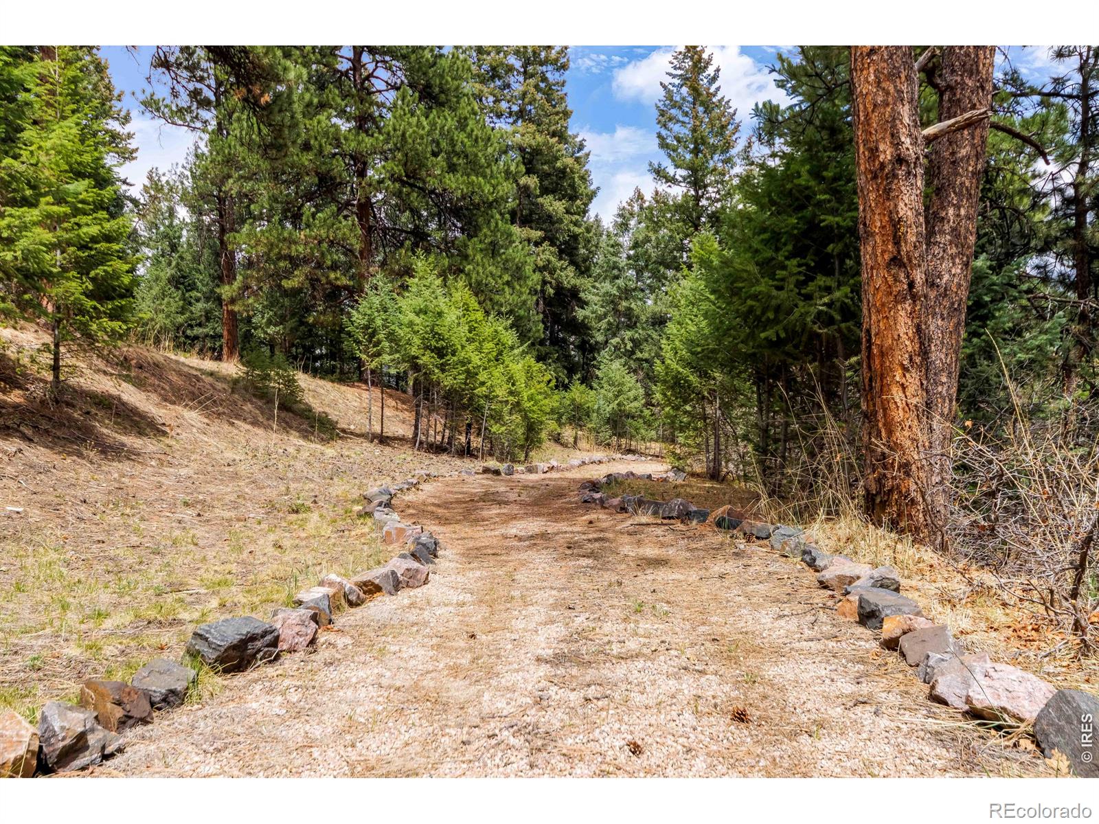 MLS Image #43 for 7008  bluff trail,morrison, Colorado