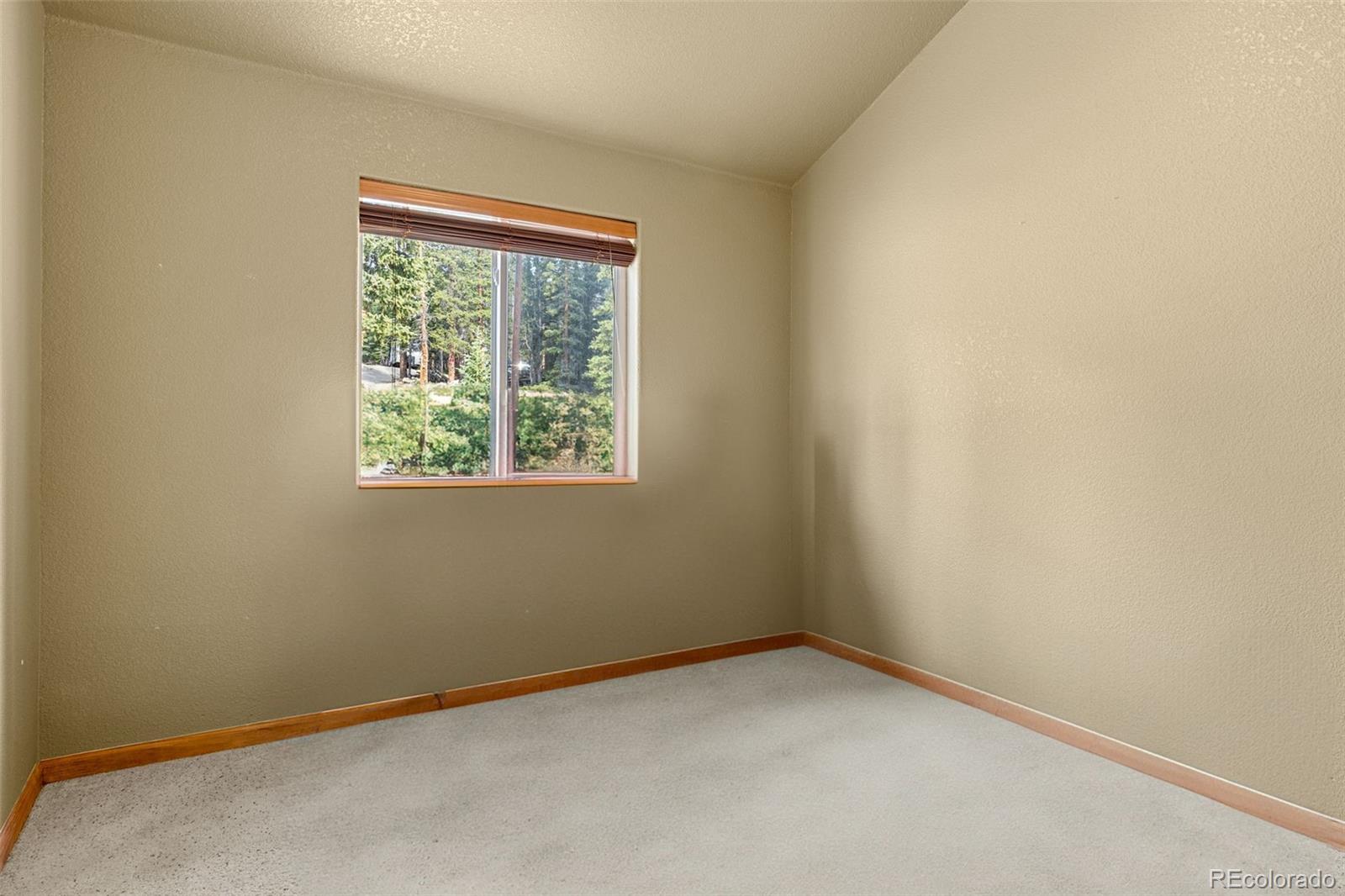 MLS Image #11 for 238  prunes place,fairplay, Colorado