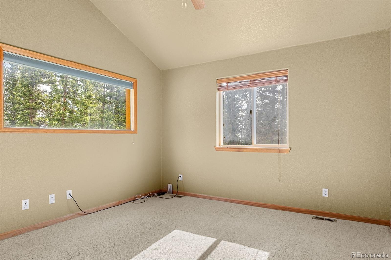 MLS Image #12 for 238  prunes place,fairplay, Colorado
