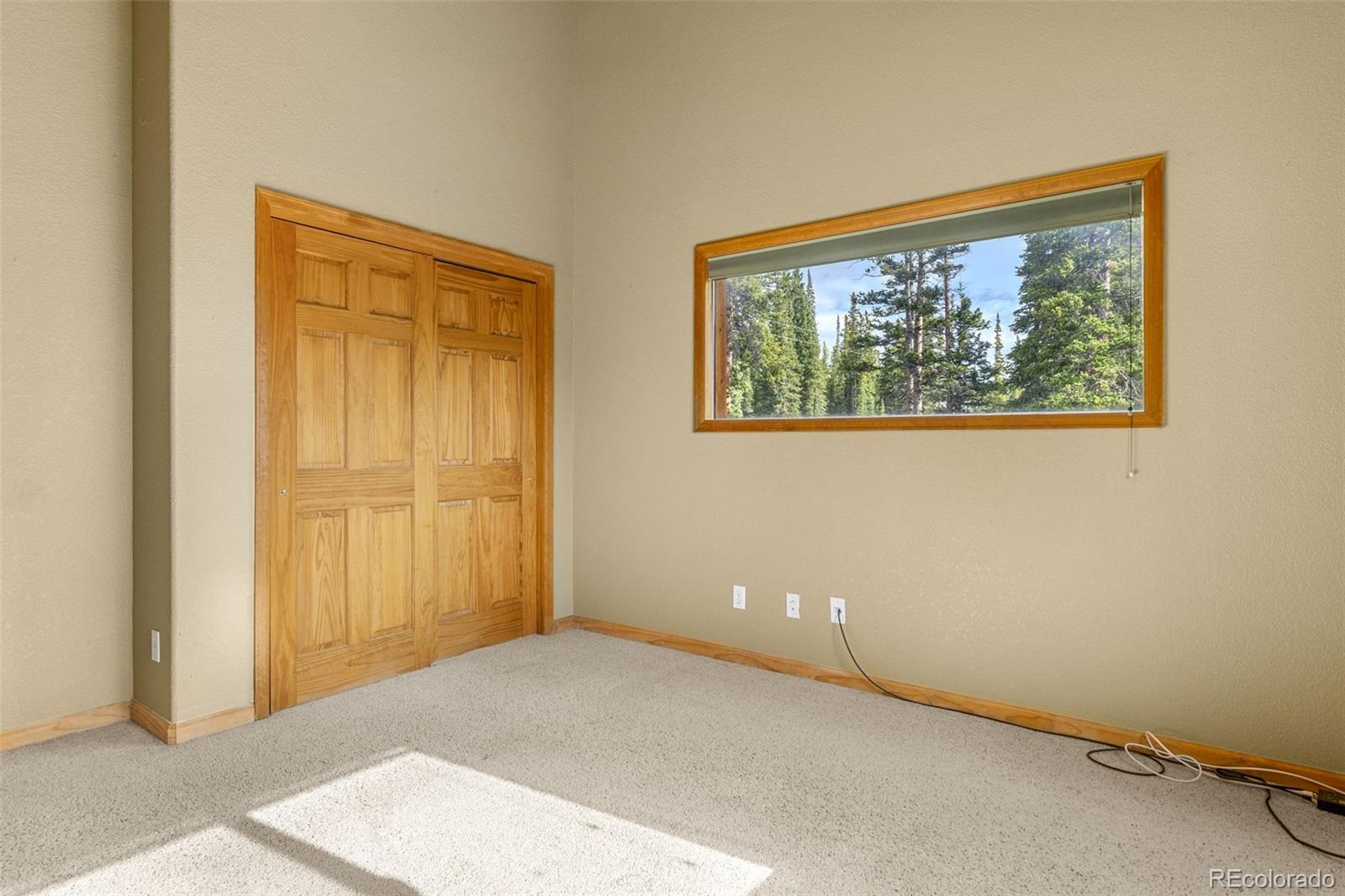 MLS Image #13 for 238  prunes place,fairplay, Colorado