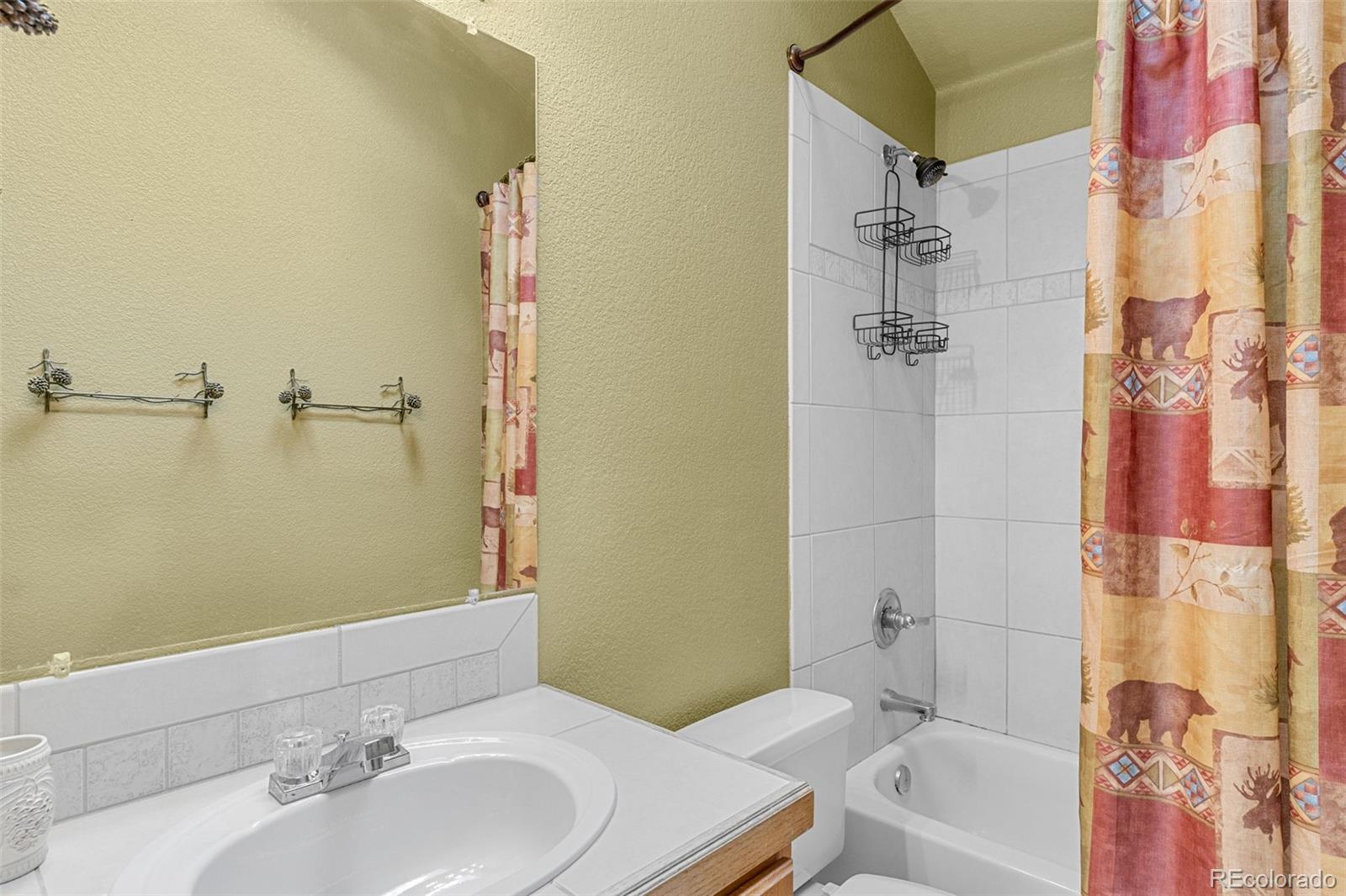MLS Image #15 for 238  prunes place,fairplay, Colorado