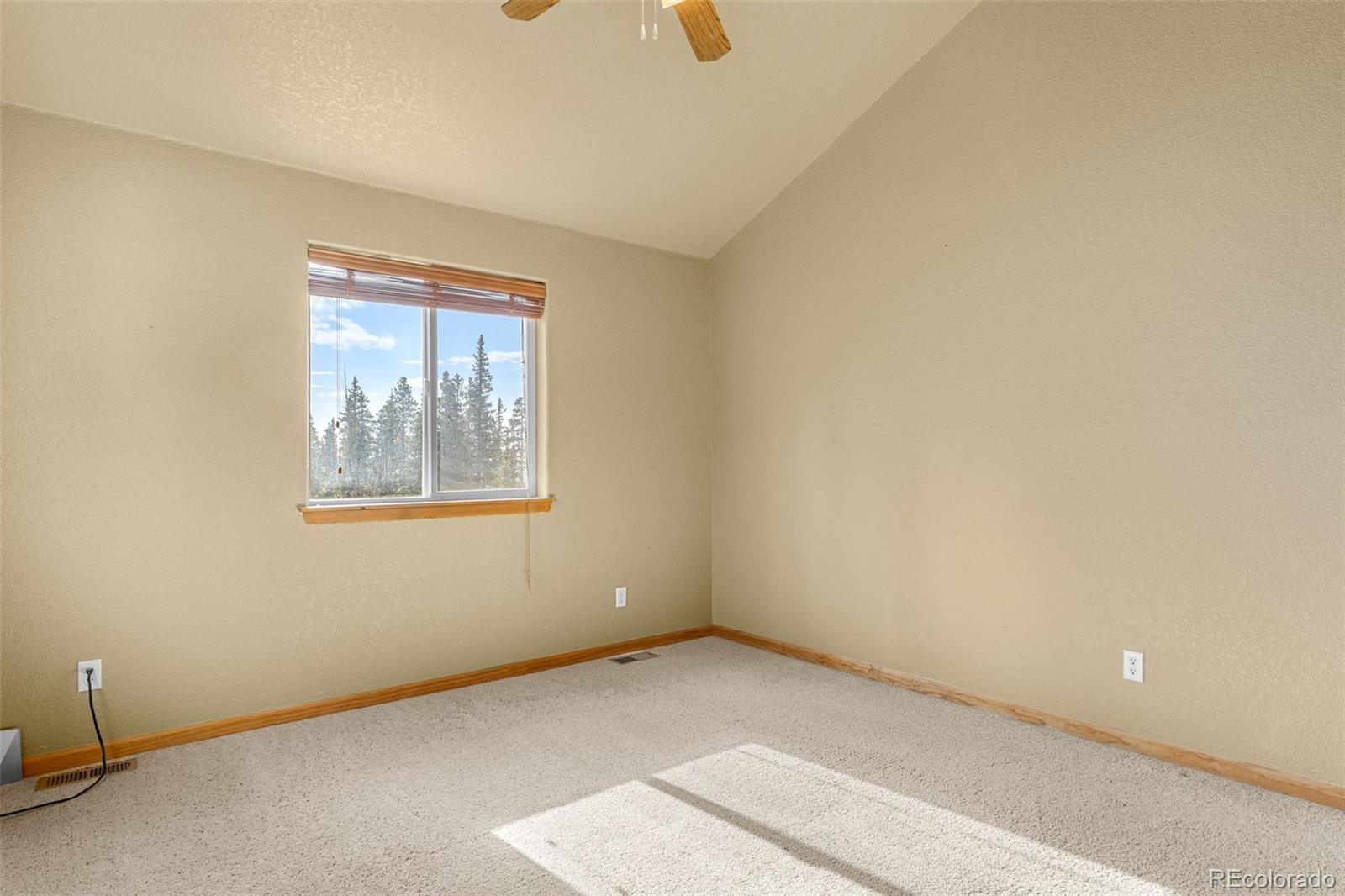 MLS Image #16 for 238  prunes place,fairplay, Colorado