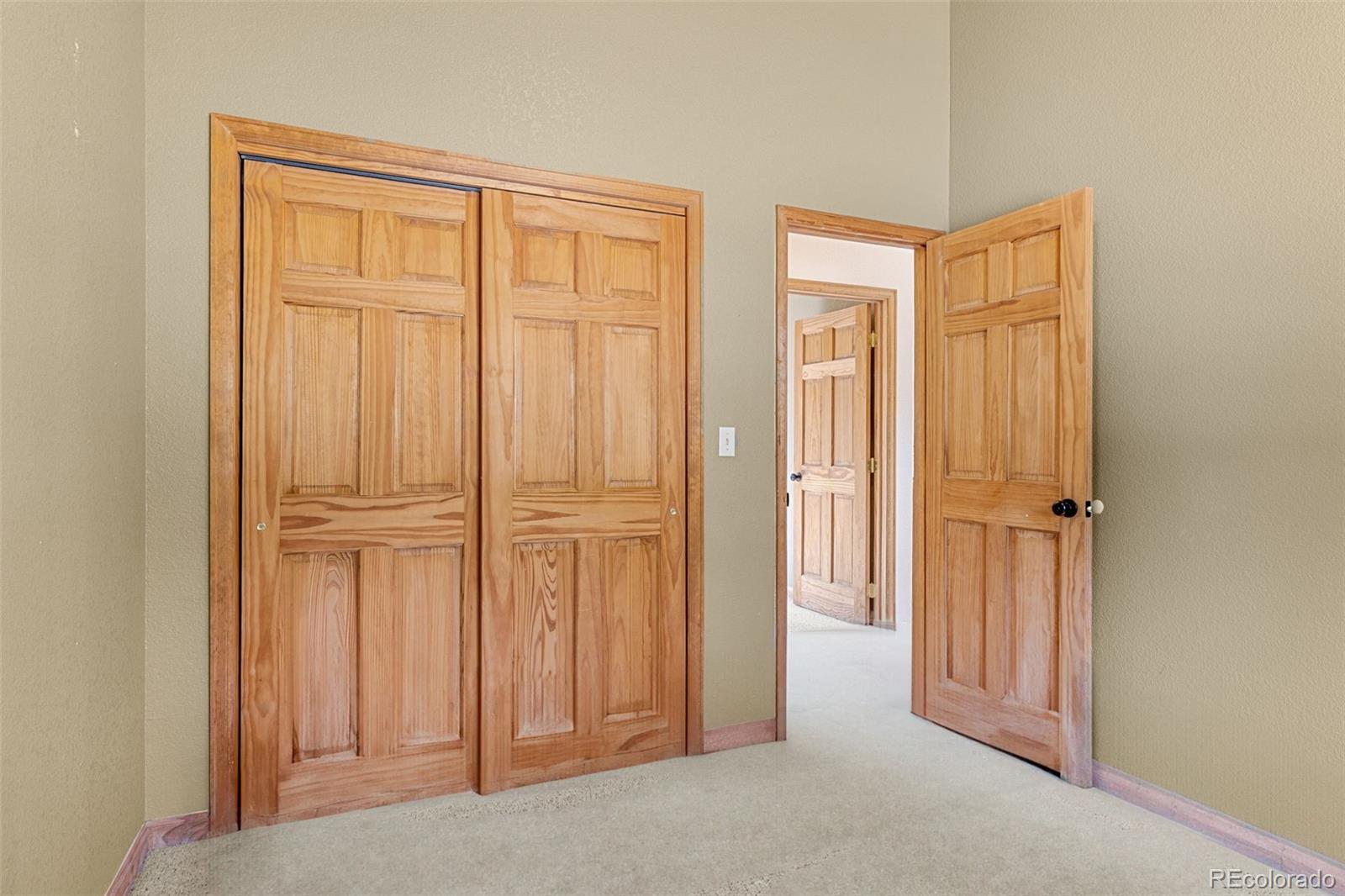 MLS Image #17 for 238  prunes place,fairplay, Colorado