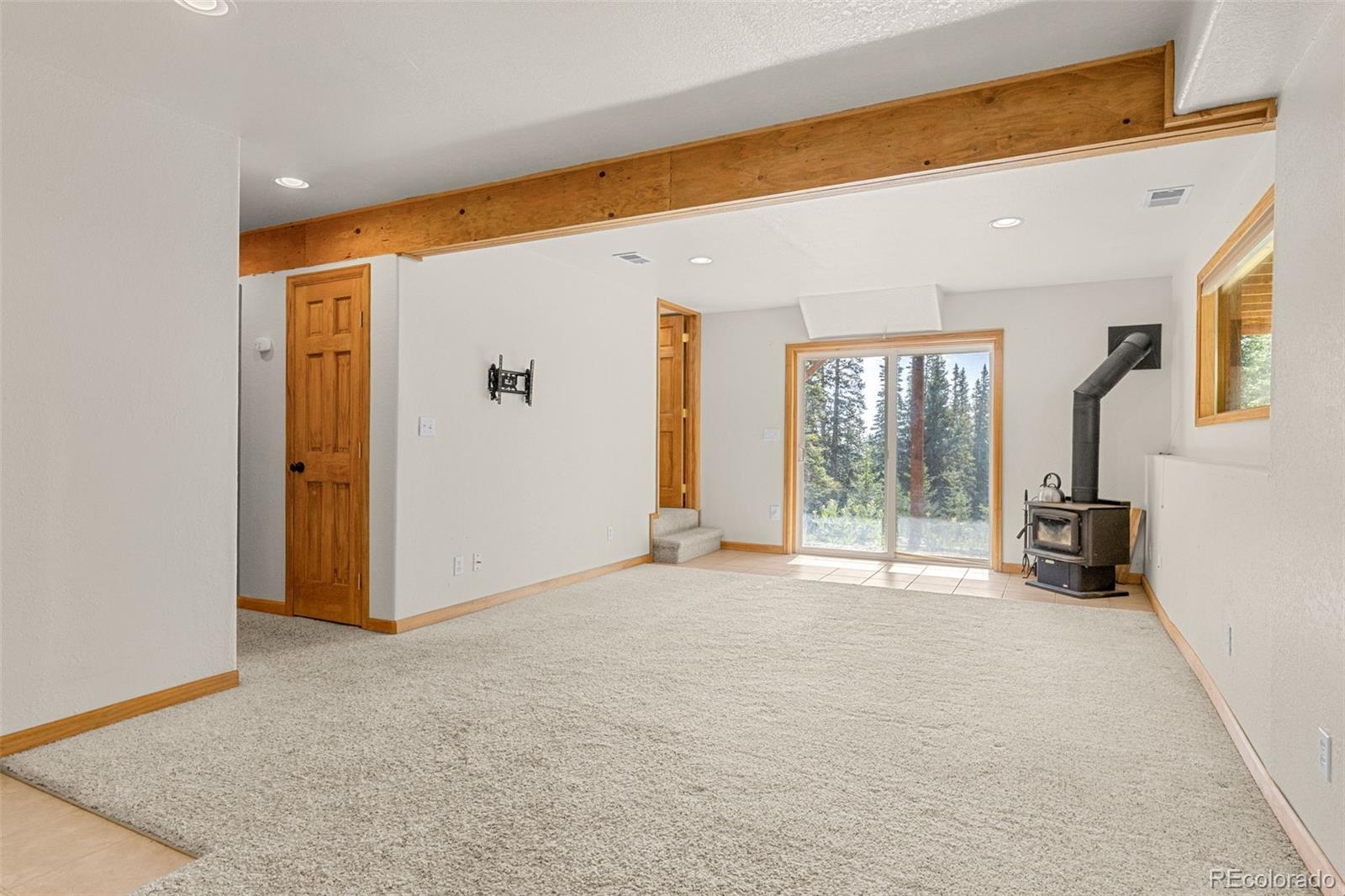 MLS Image #18 for 238  prunes place,fairplay, Colorado