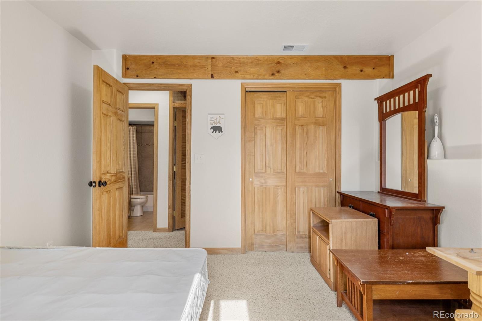 MLS Image #21 for 238  prunes place,fairplay, Colorado