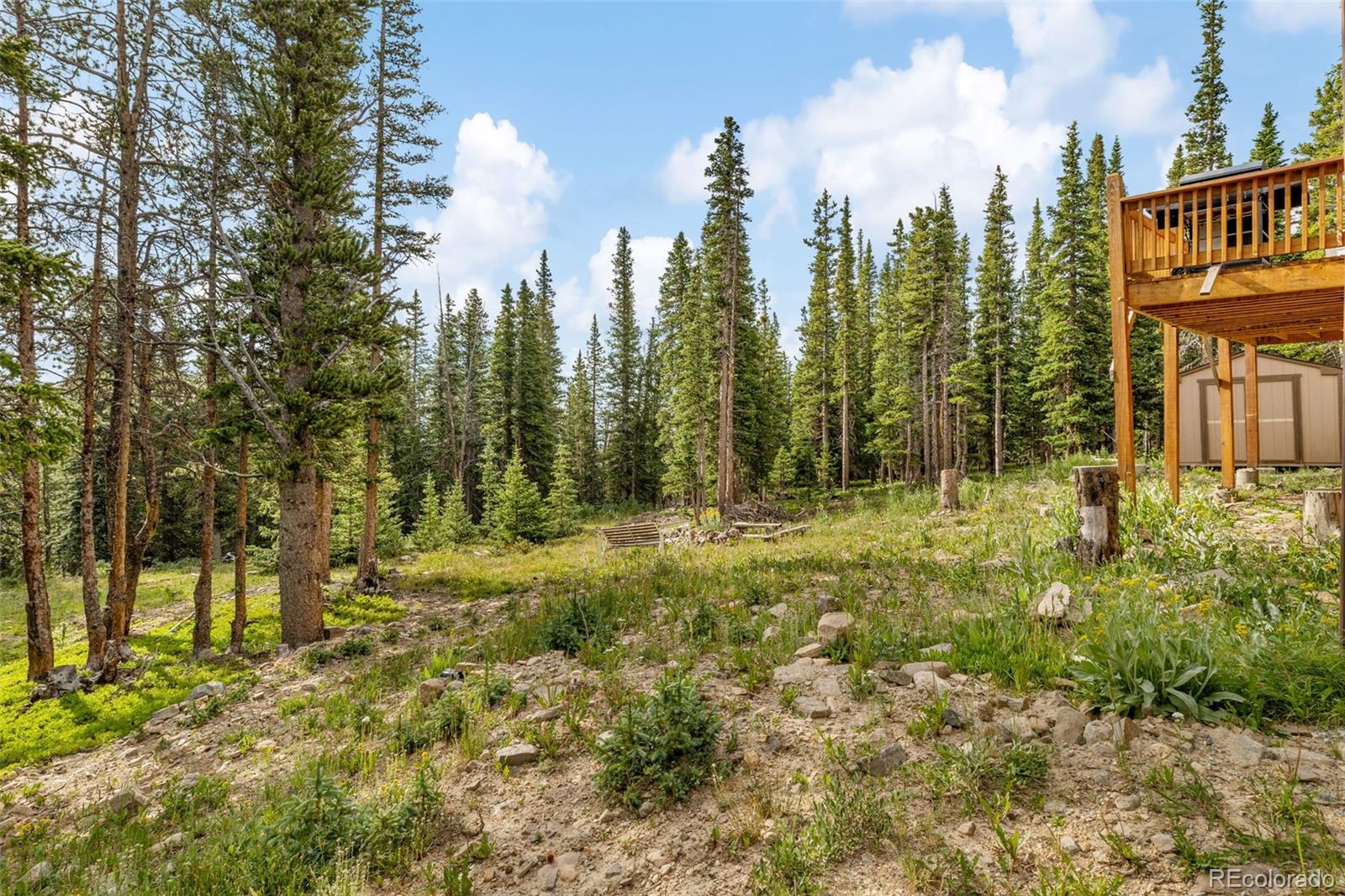 MLS Image #25 for 238  prunes place,fairplay, Colorado