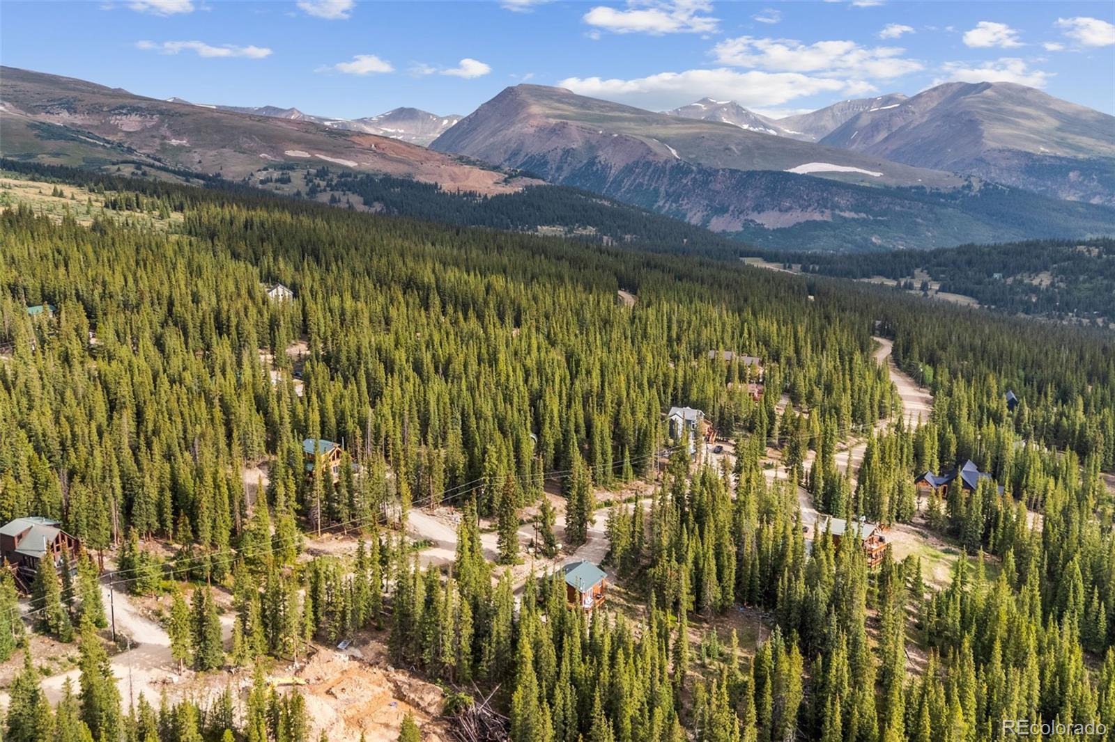MLS Image #3 for 238  prunes place,fairplay, Colorado