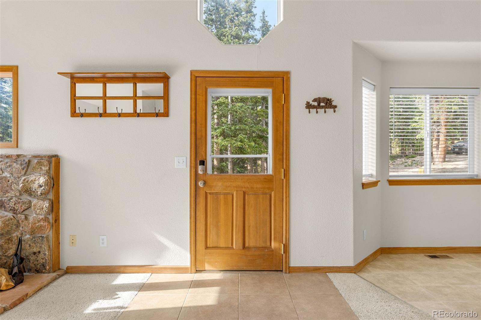 MLS Image #4 for 238  prunes place,fairplay, Colorado
