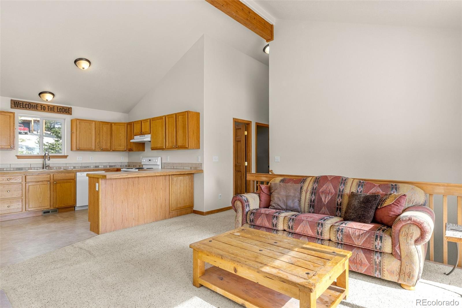 MLS Image #6 for 238  prunes place,fairplay, Colorado