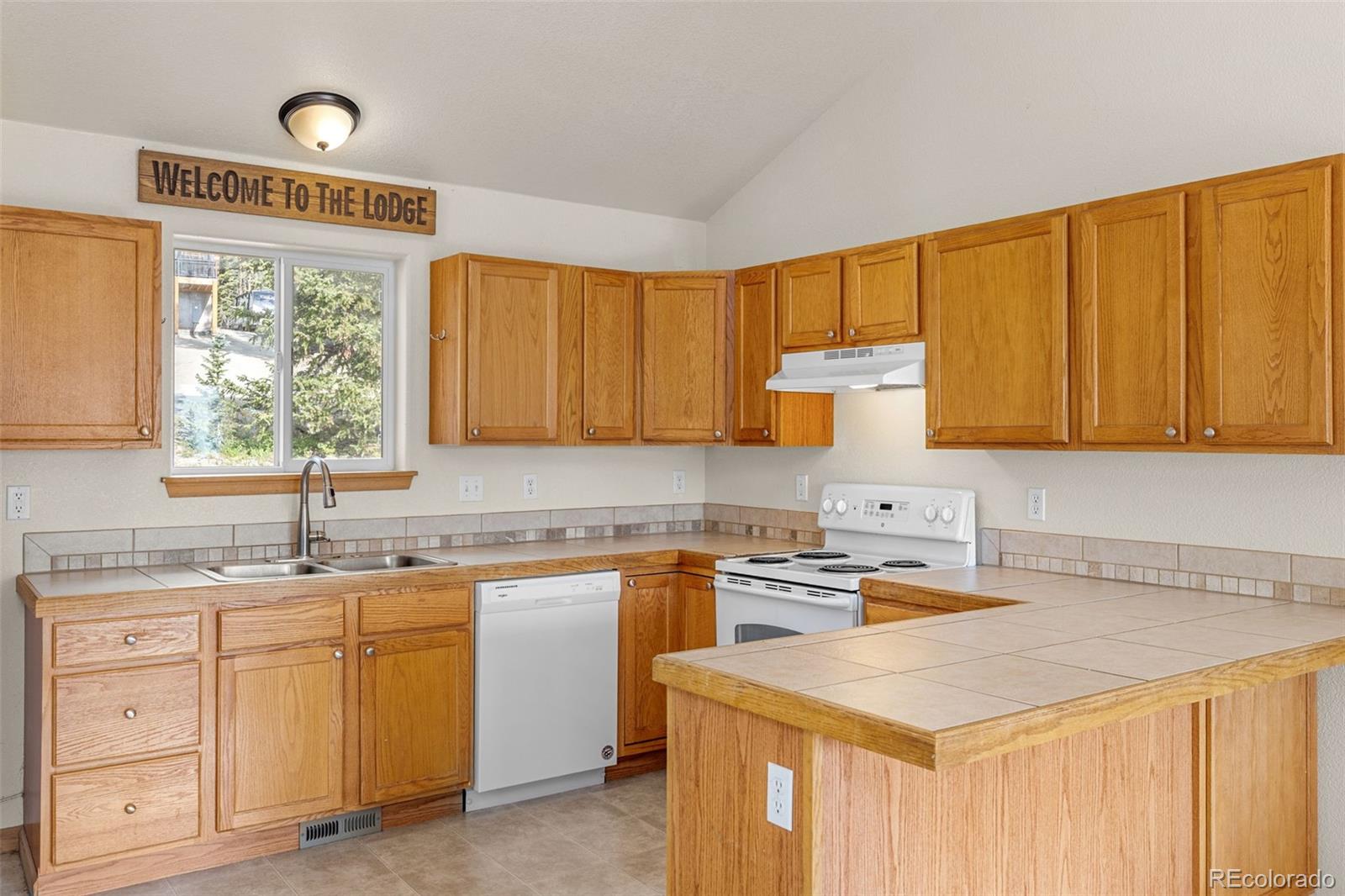 MLS Image #8 for 238  prunes place,fairplay, Colorado