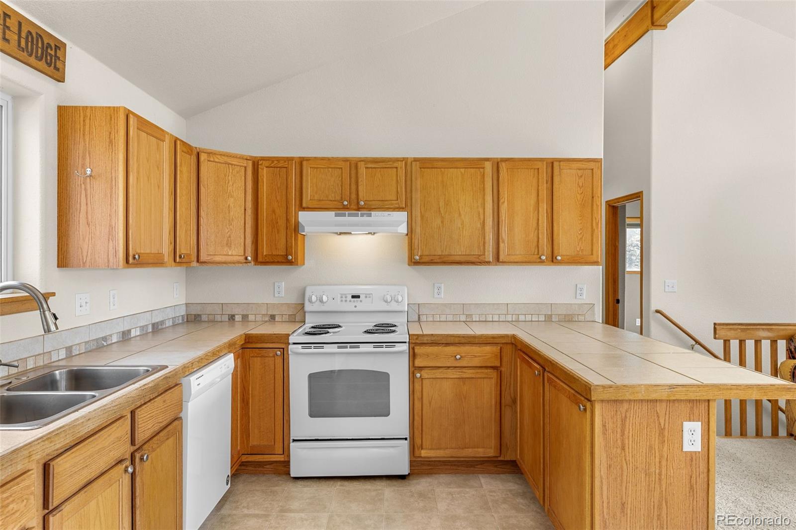 MLS Image #9 for 238  prunes place,fairplay, Colorado