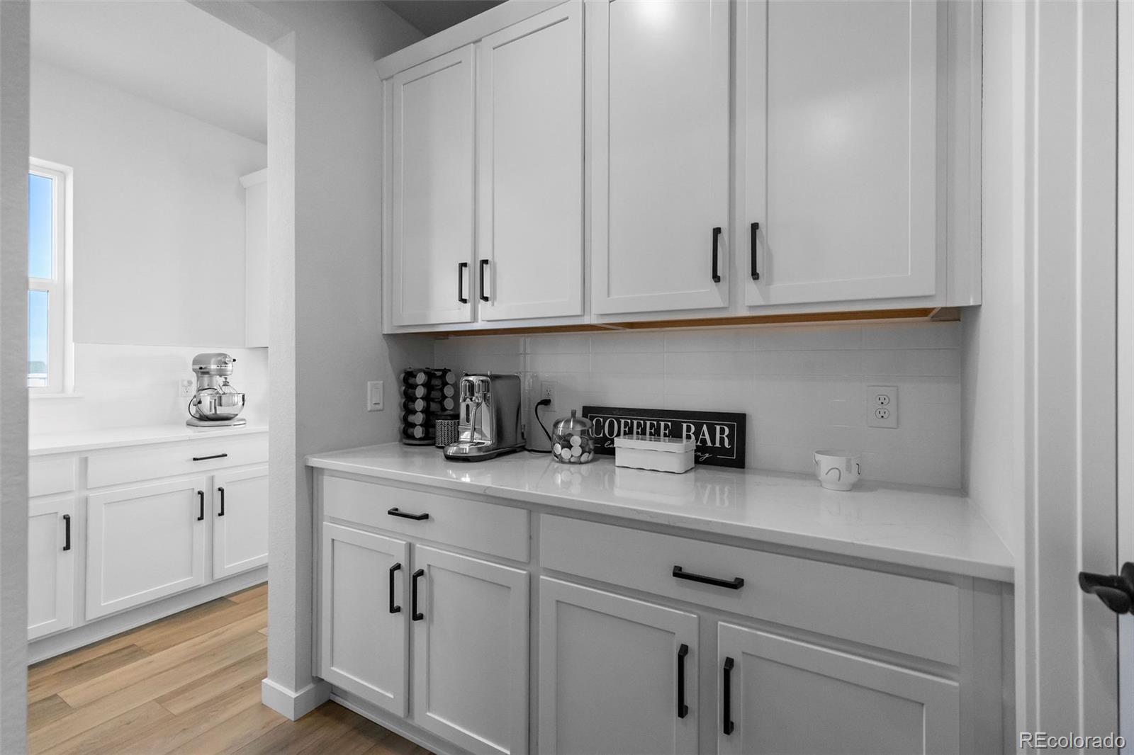 MLS Image #19 for 13710  emerald lake street,parker, Colorado