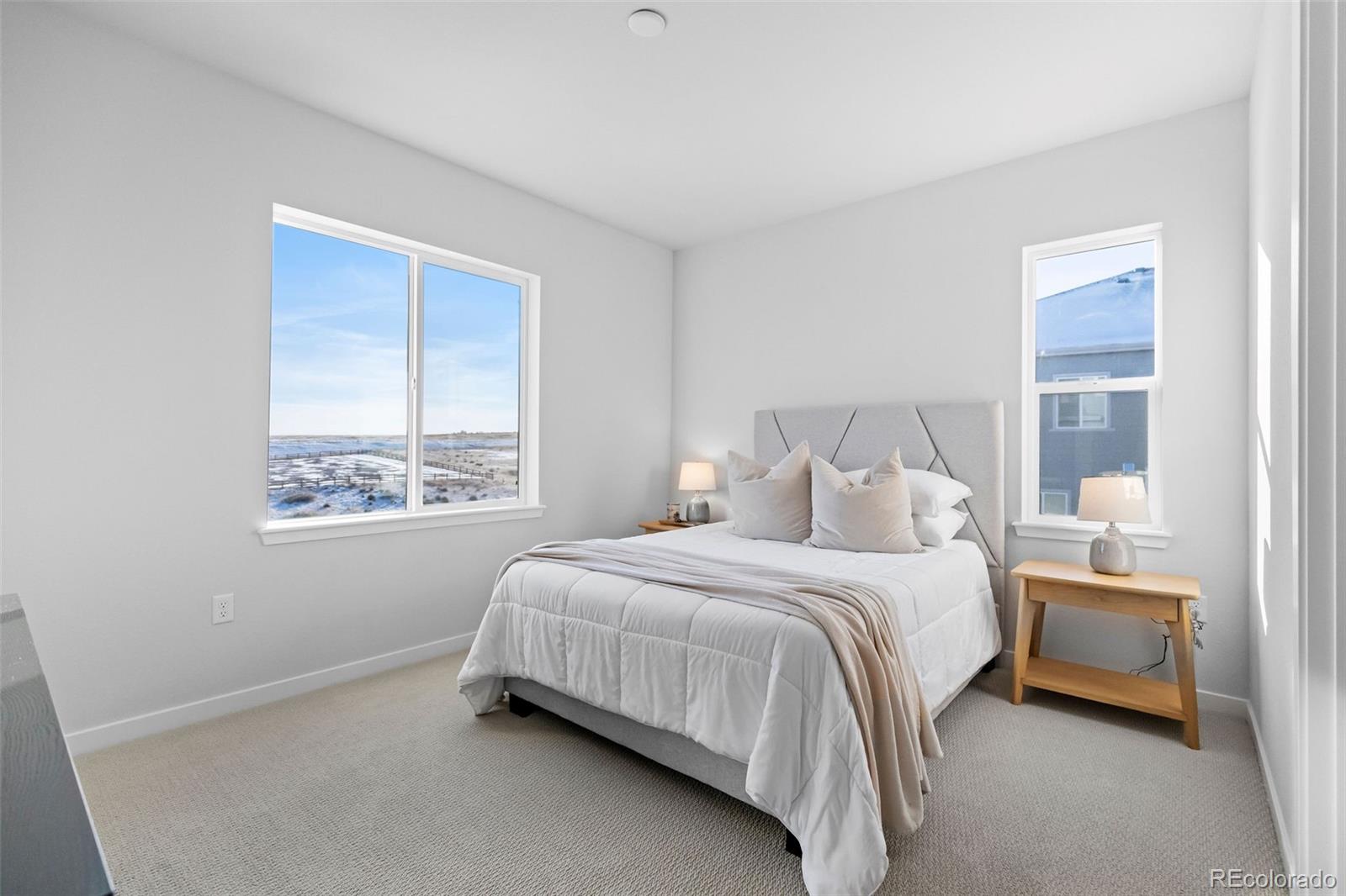 MLS Image #22 for 13710  emerald lake street,parker, Colorado