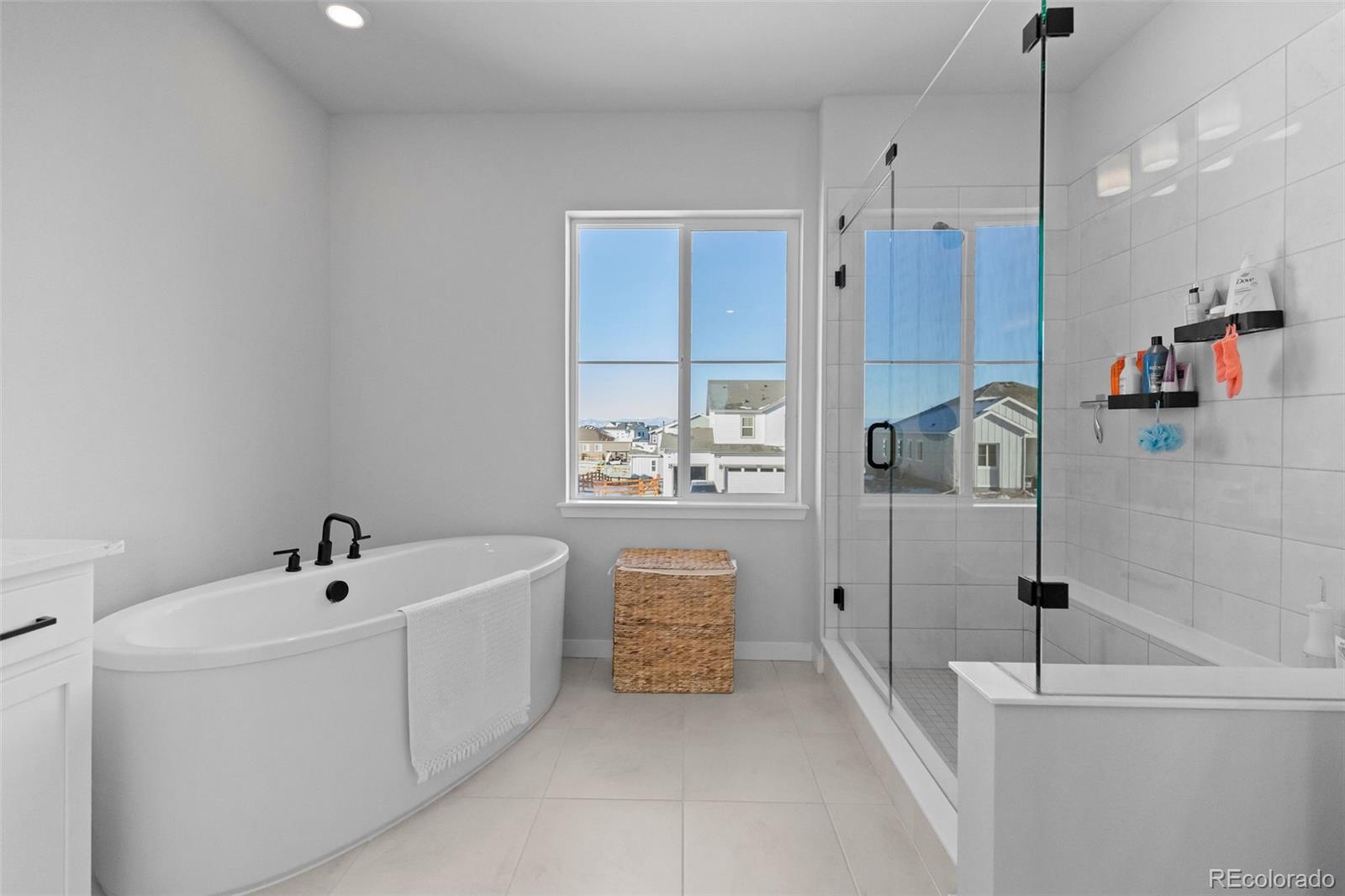 MLS Image #32 for 13710  emerald lake street,parker, Colorado