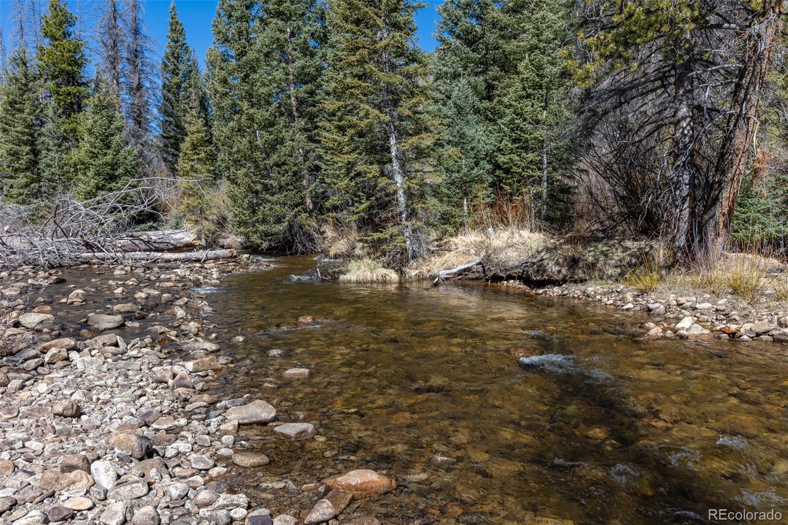 MLS Image #12 for 24500  county road 162 ,nathrop, Colorado