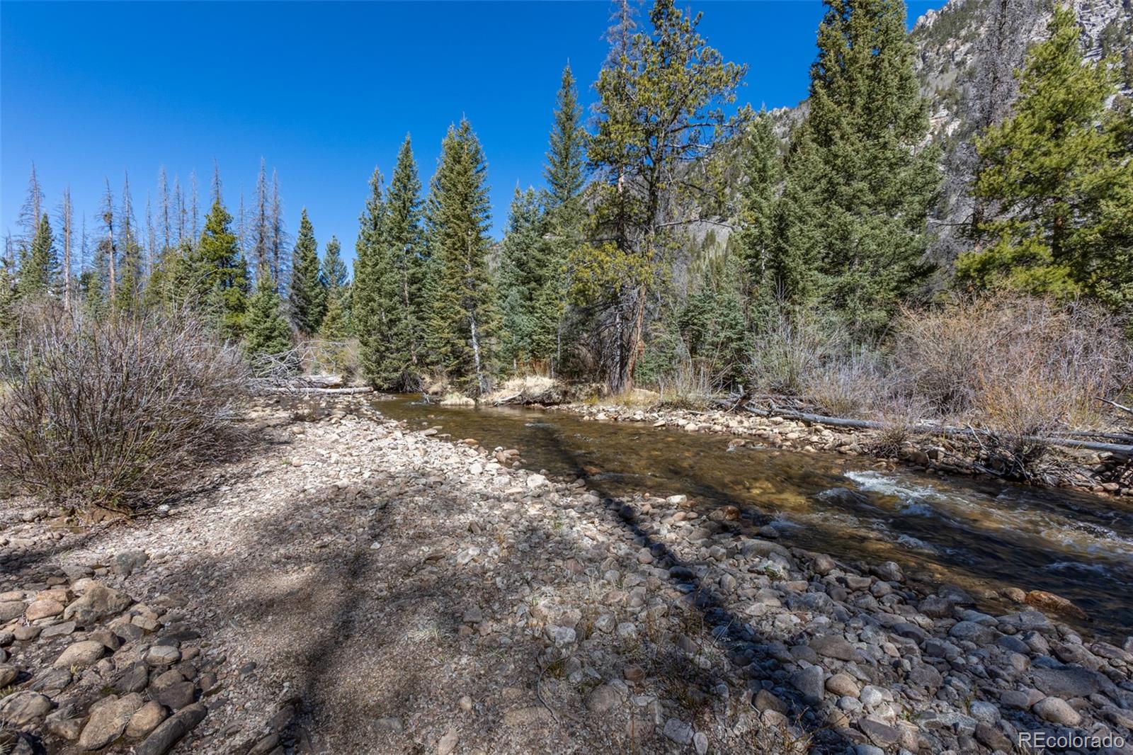 MLS Image #13 for 24500  county road 162 ,nathrop, Colorado