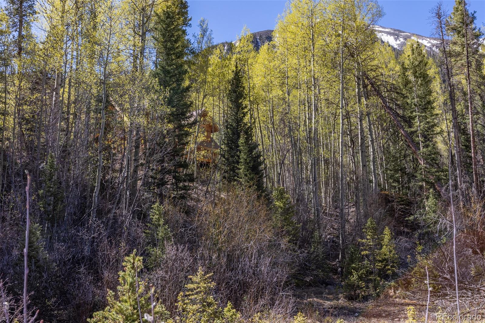 MLS Image #17 for 24500  county road 162 ,nathrop, Colorado