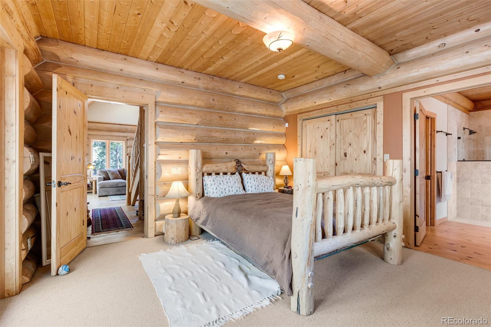 MLS Image #19 for 24500  county road 162 ,nathrop, Colorado
