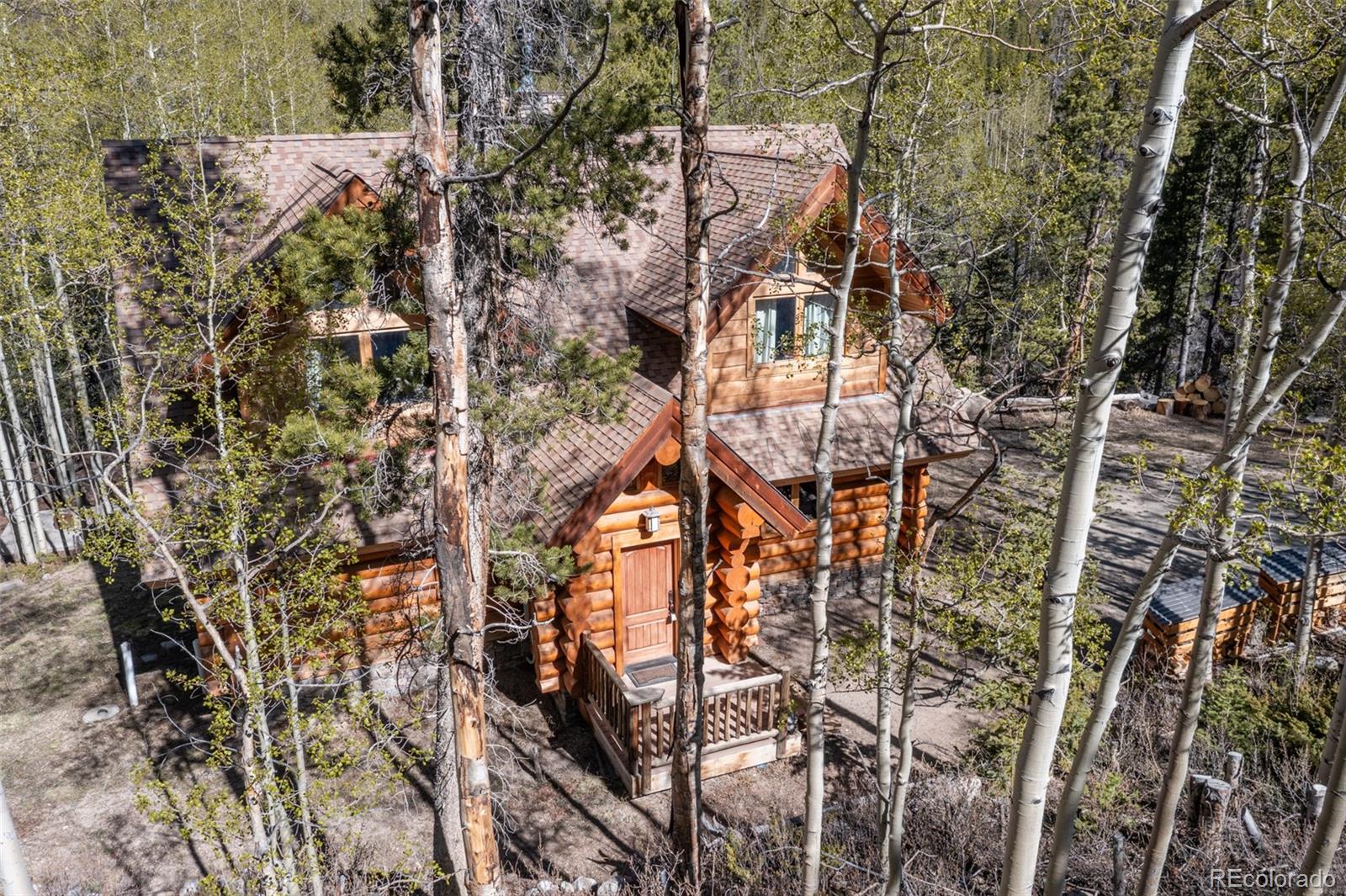 MLS Image #3 for 24500  county road 162 ,nathrop, Colorado
