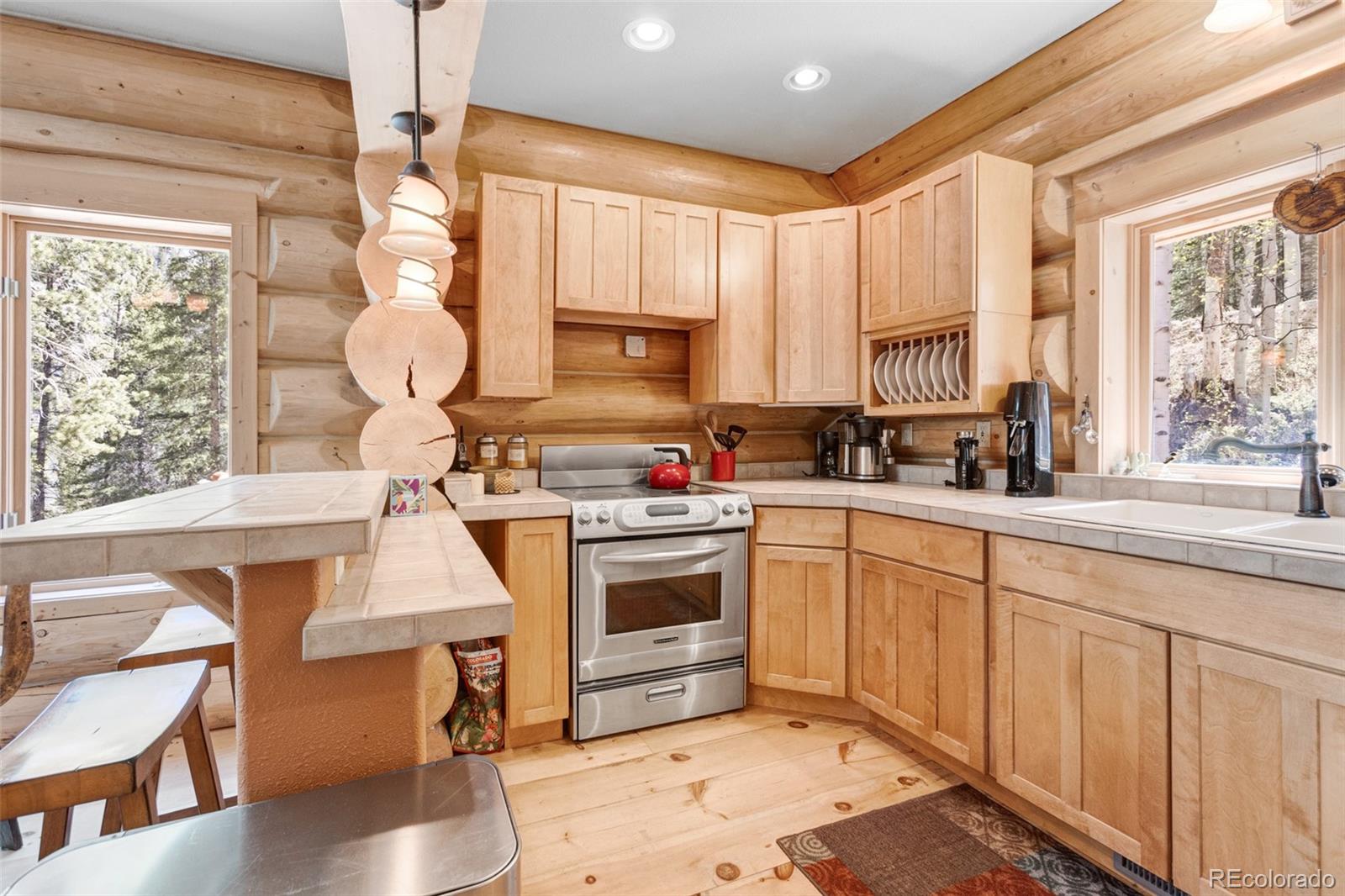 MLS Image #30 for 24500  county road 162 ,nathrop, Colorado