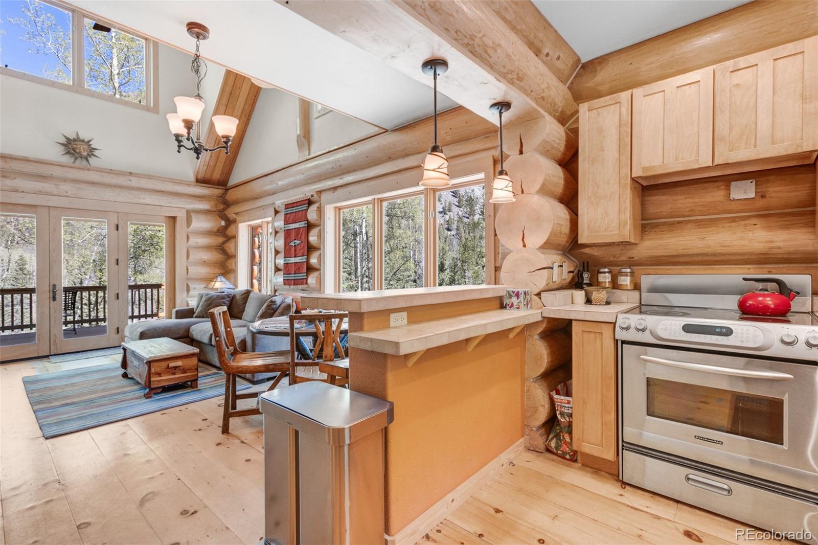 MLS Image #31 for 24500  county road 162 ,nathrop, Colorado