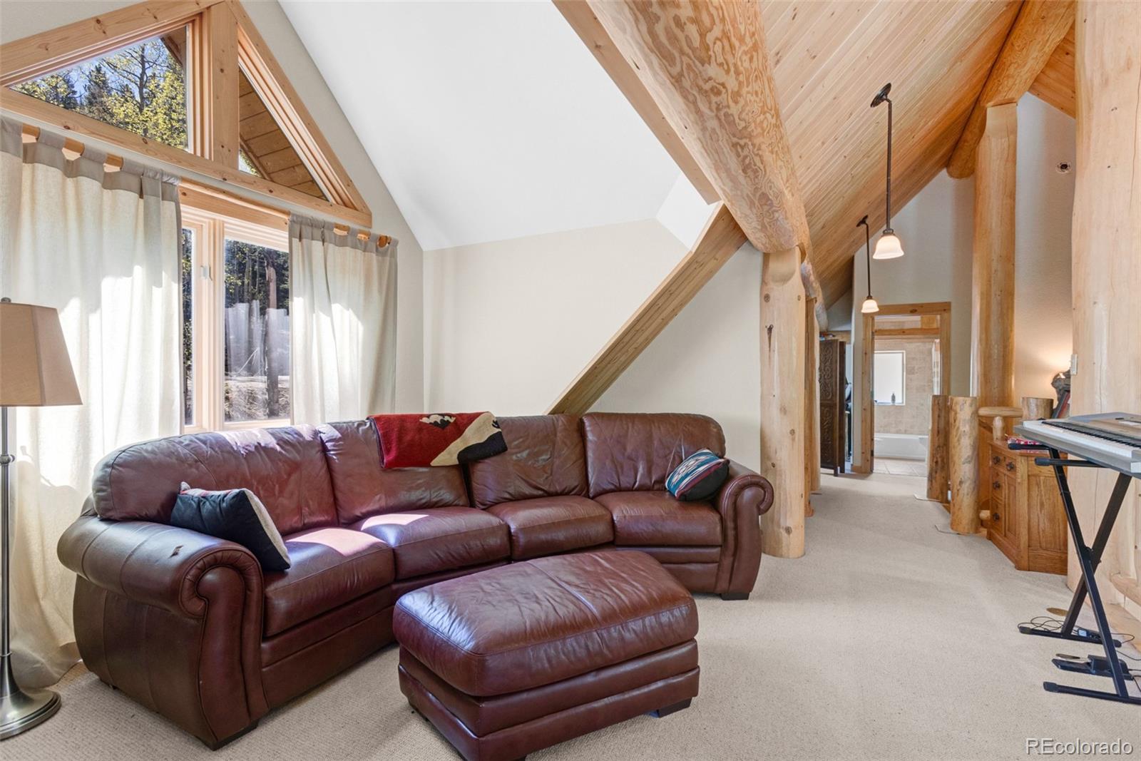 MLS Image #35 for 24500  county road 162 ,nathrop, Colorado