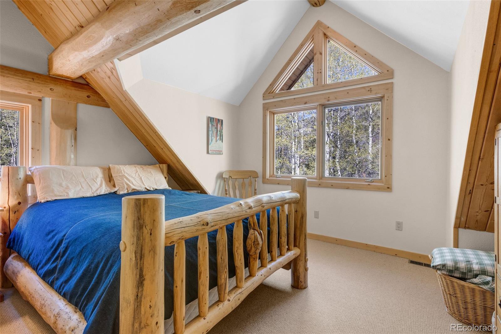 MLS Image #39 for 24500  county road 162 ,nathrop, Colorado