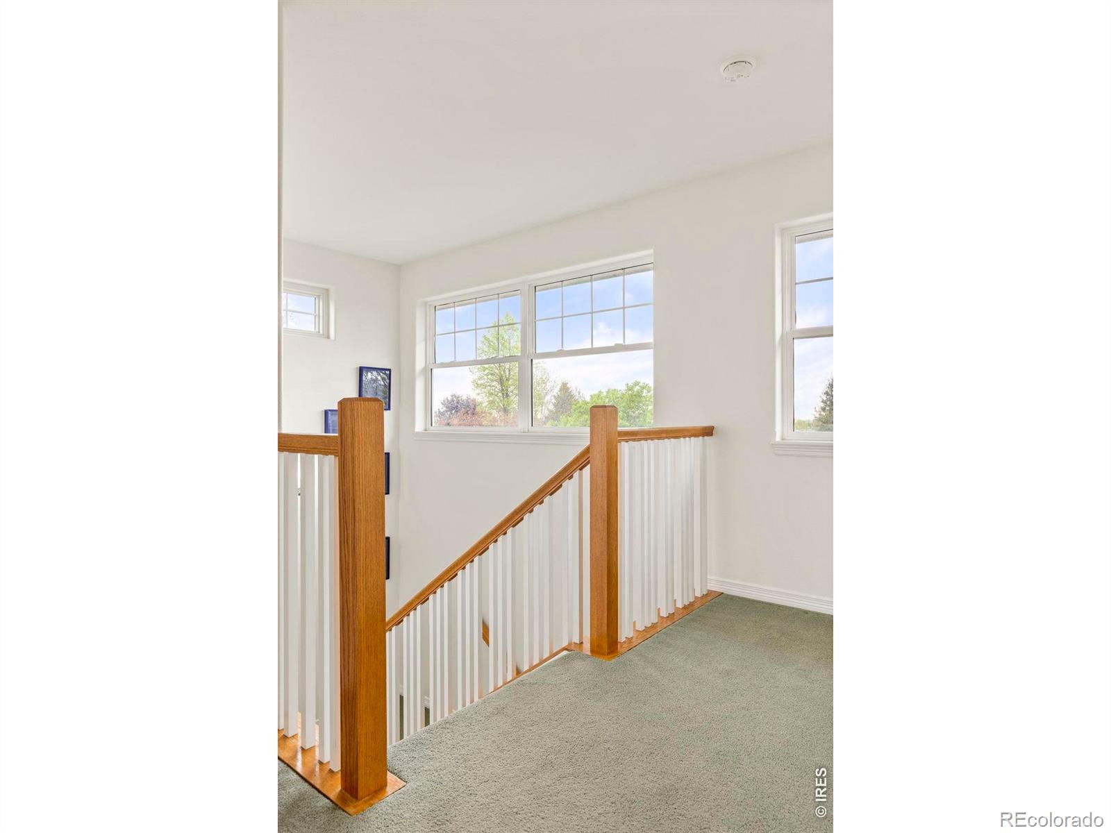 MLS Image #31 for 9055  fieldcrest lane,longmont, Colorado