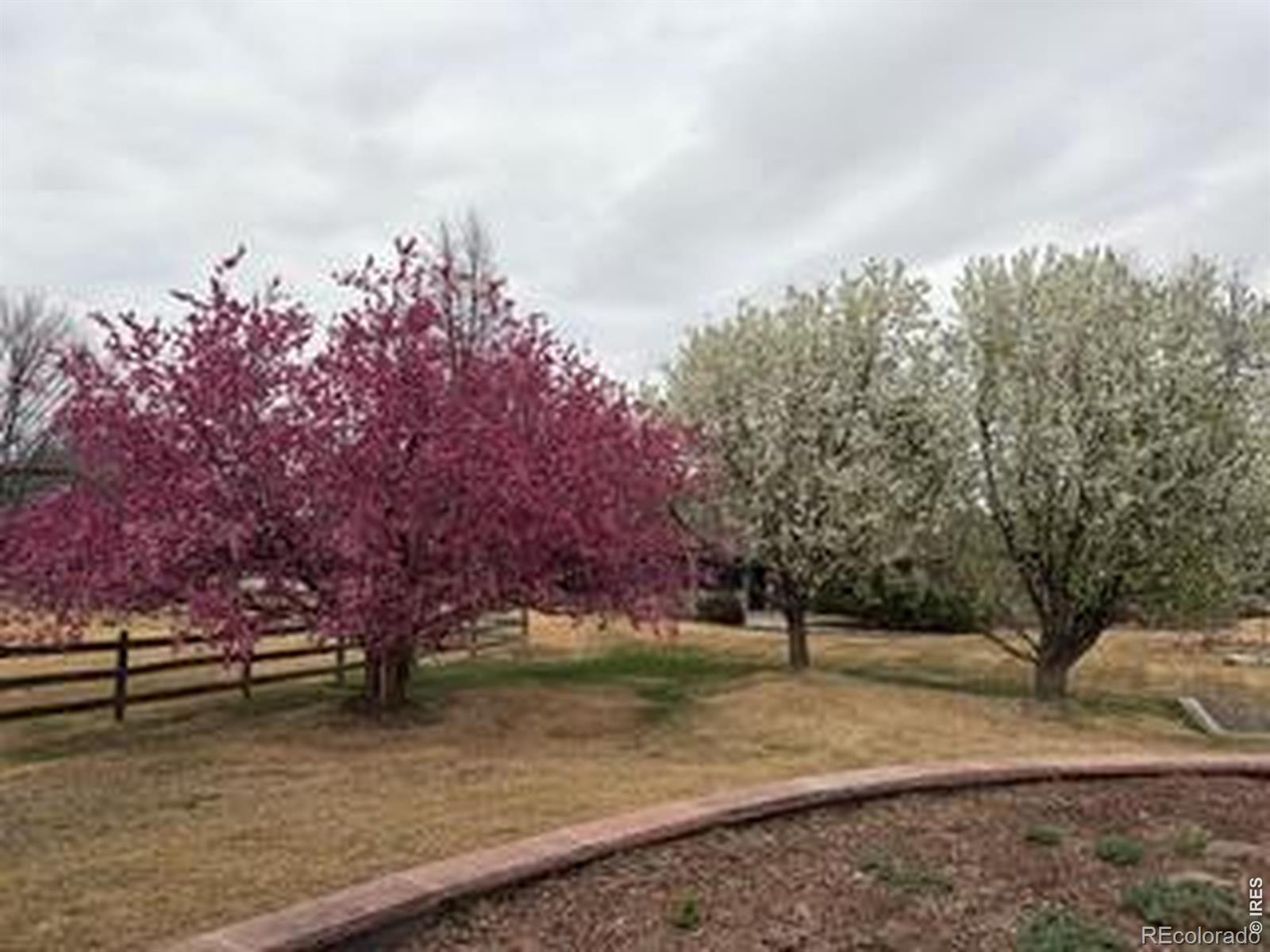 MLS Image #47 for 9055  fieldcrest lane,longmont, Colorado