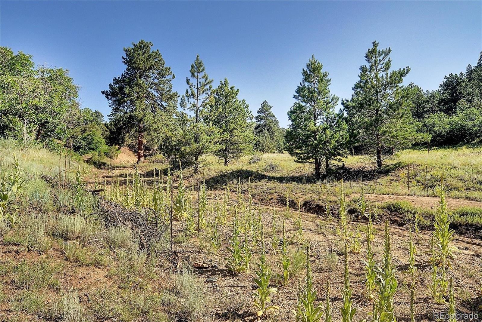 MLS Image #36 for 1111  red feather road,cotopaxi, Colorado