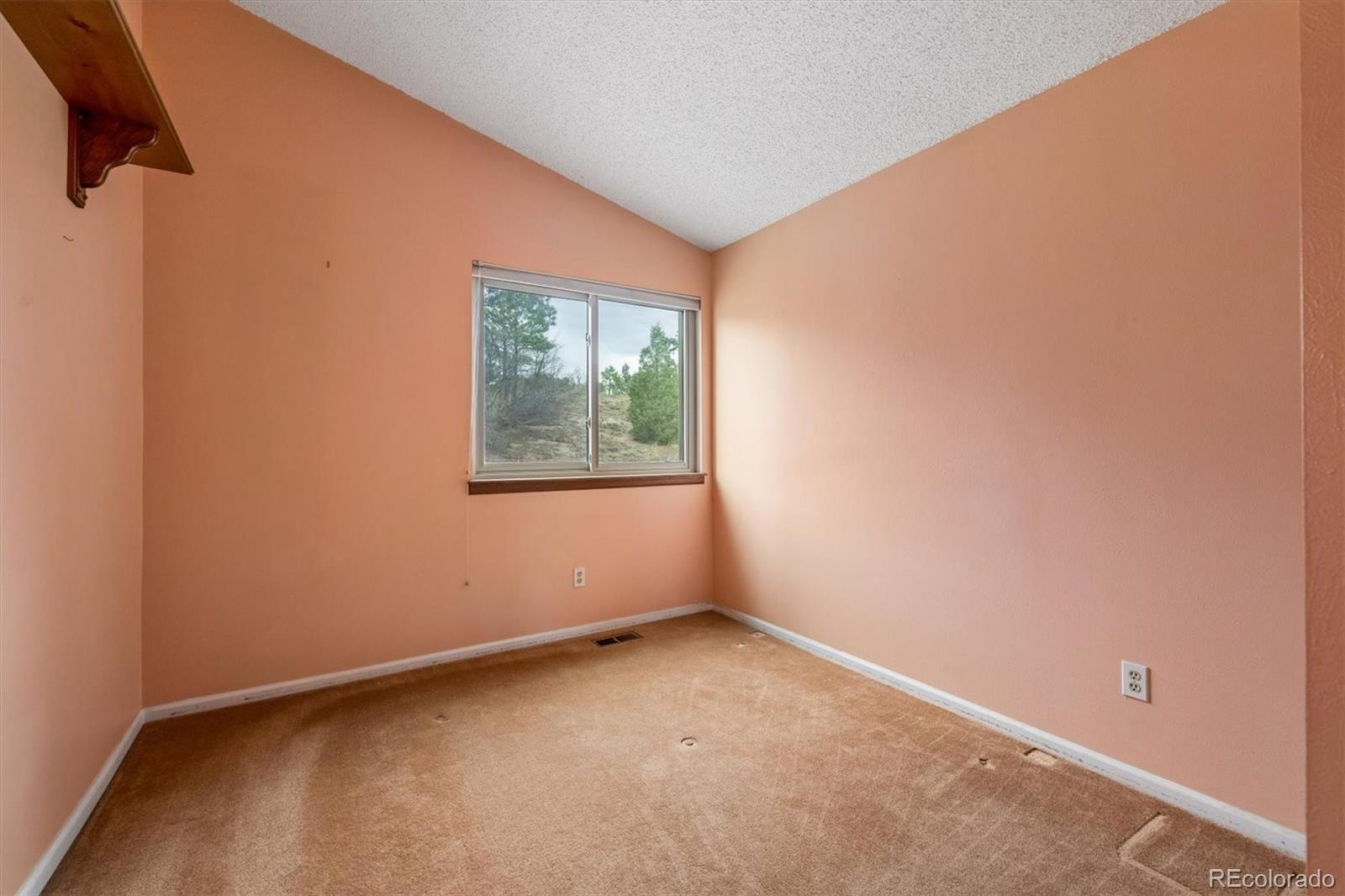 MLS Image #11 for 1989  foxfield drive,castle rock, Colorado