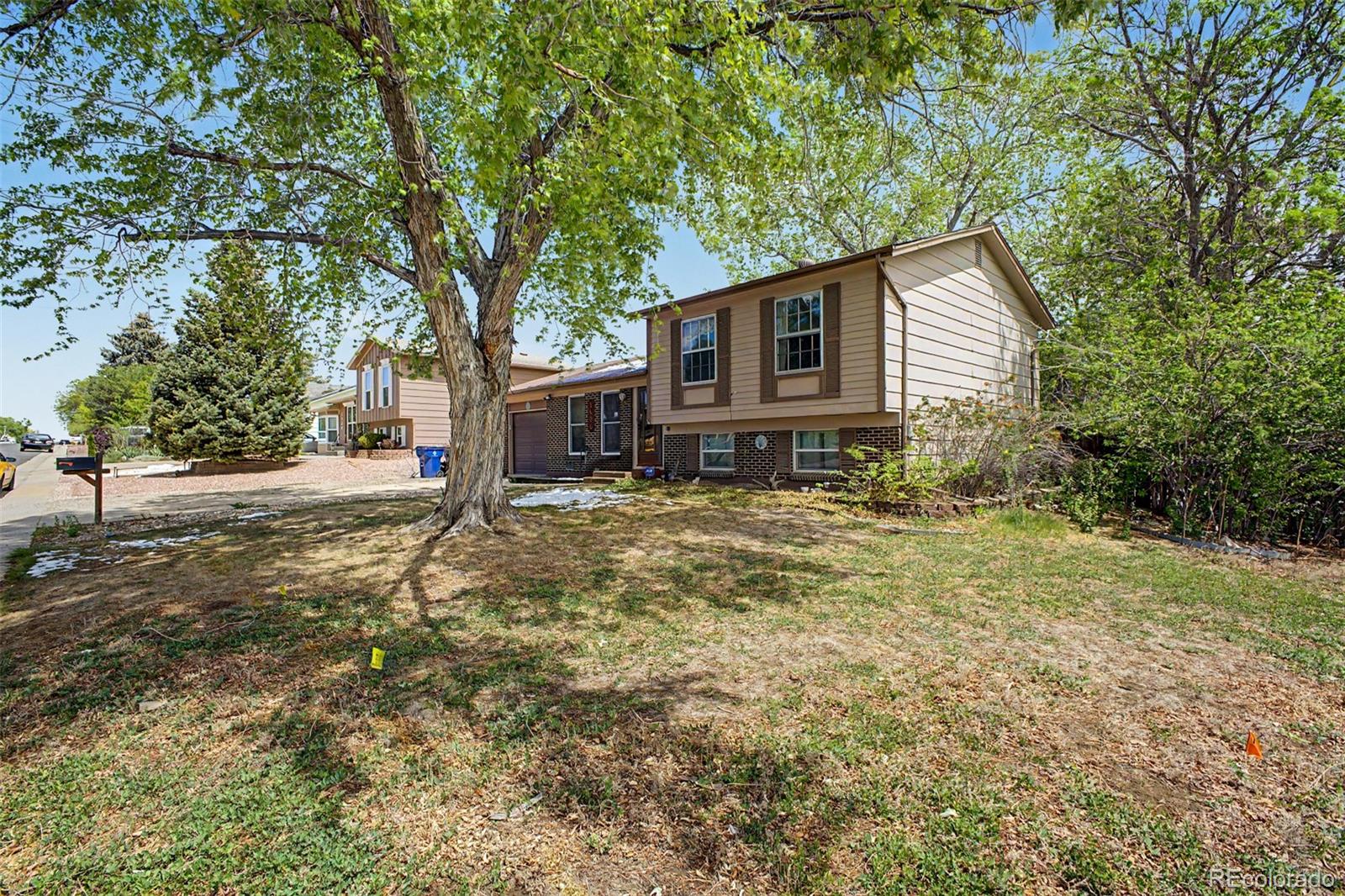 MLS Image #2 for 1406  cottonwood street,broomfield, Colorado