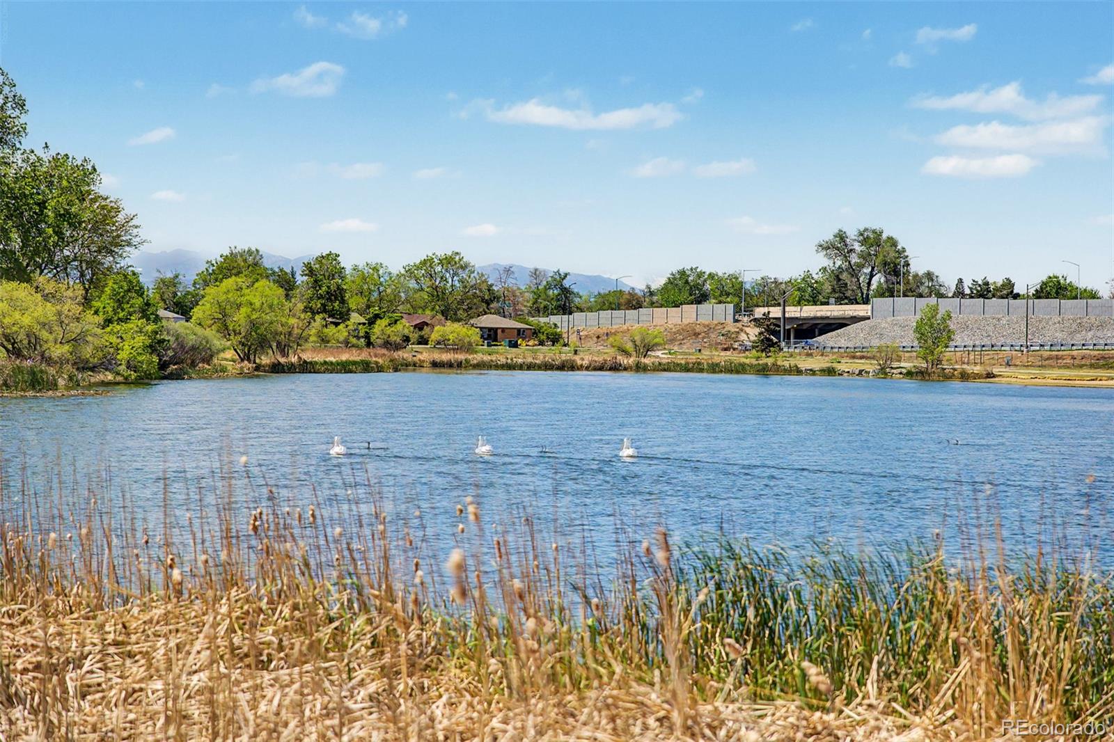 MLS Image #45 for 4265 n irving street,denver, Colorado