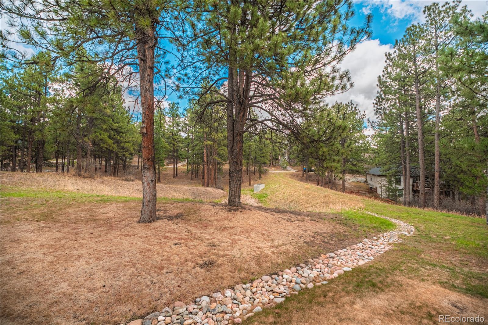 MLS Image #40 for 1000  cochetopa drive,larkspur, Colorado