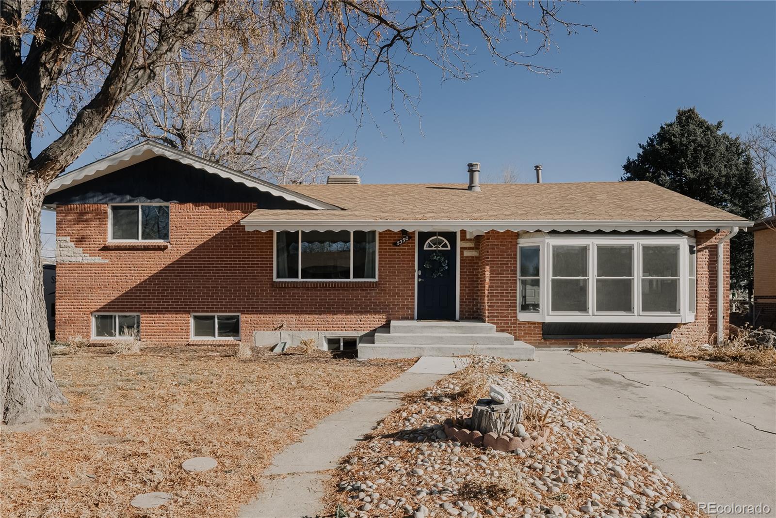 MLS Image #4 for 5390  raritan way,denver, Colorado