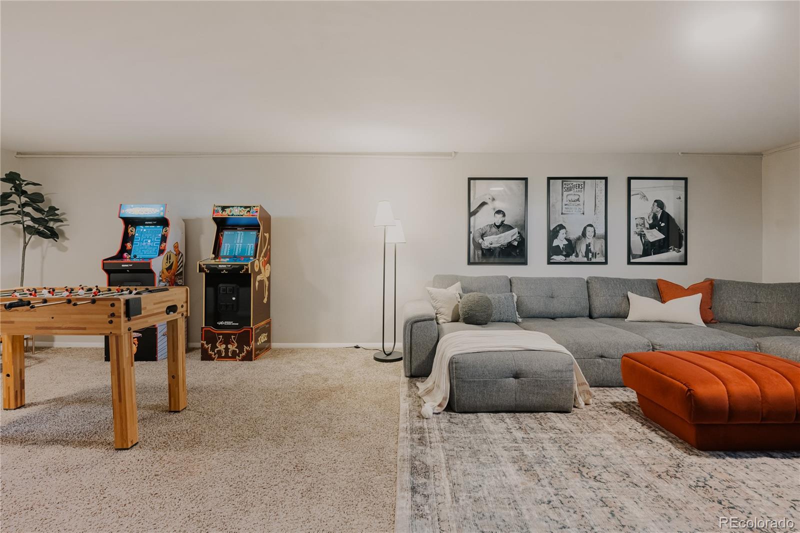 MLS Image #42 for 5390  raritan way,denver, Colorado