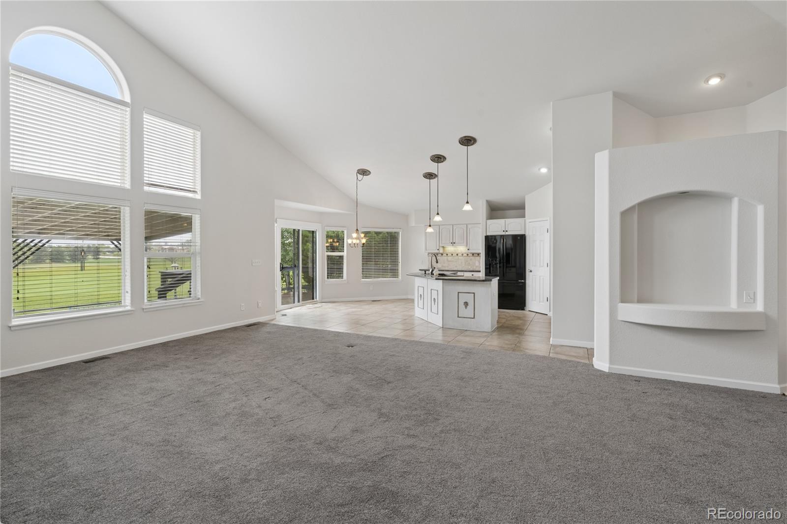 MLS Image #6 for 6766  salvia court,arvada, Colorado