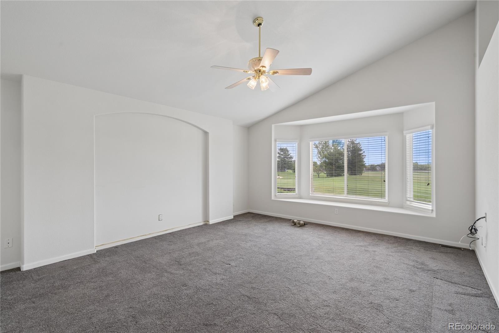 MLS Image #7 for 6766  salvia court,arvada, Colorado