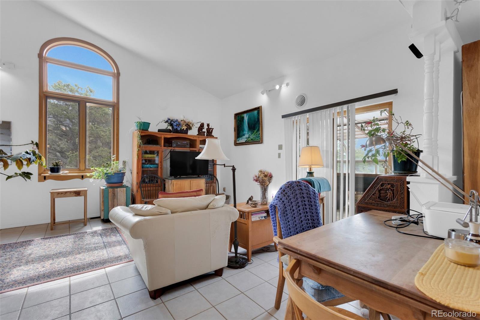 MLS Image #11 for 390  starshine ,crestone, Colorado
