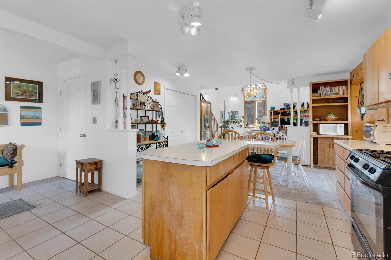 MLS Image #7 for 390  starshine ,crestone, Colorado
