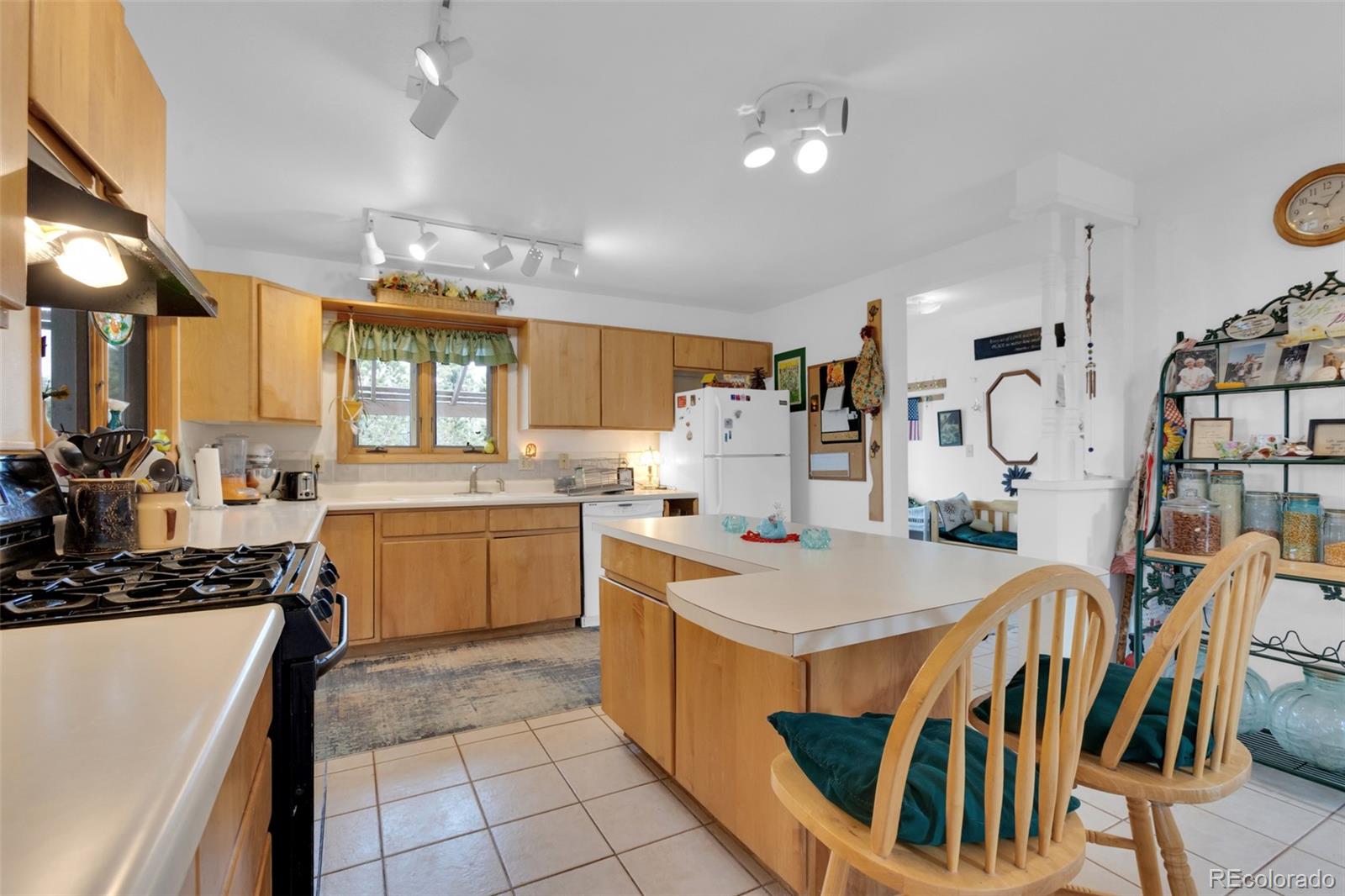 MLS Image #8 for 390  starshine ,crestone, Colorado