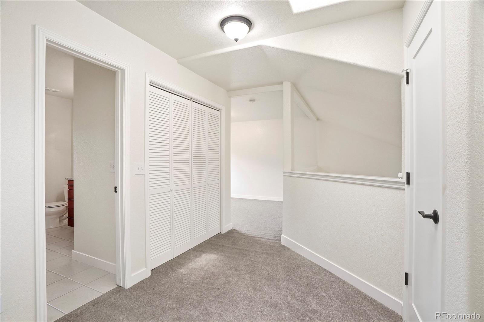 MLS Image #19 for 3501 s ivanhoe street,denver, Colorado