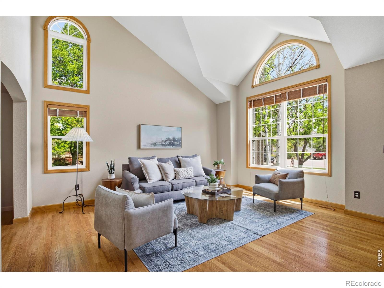MLS Image #5 for 2506  jadestone court,fort collins, Colorado