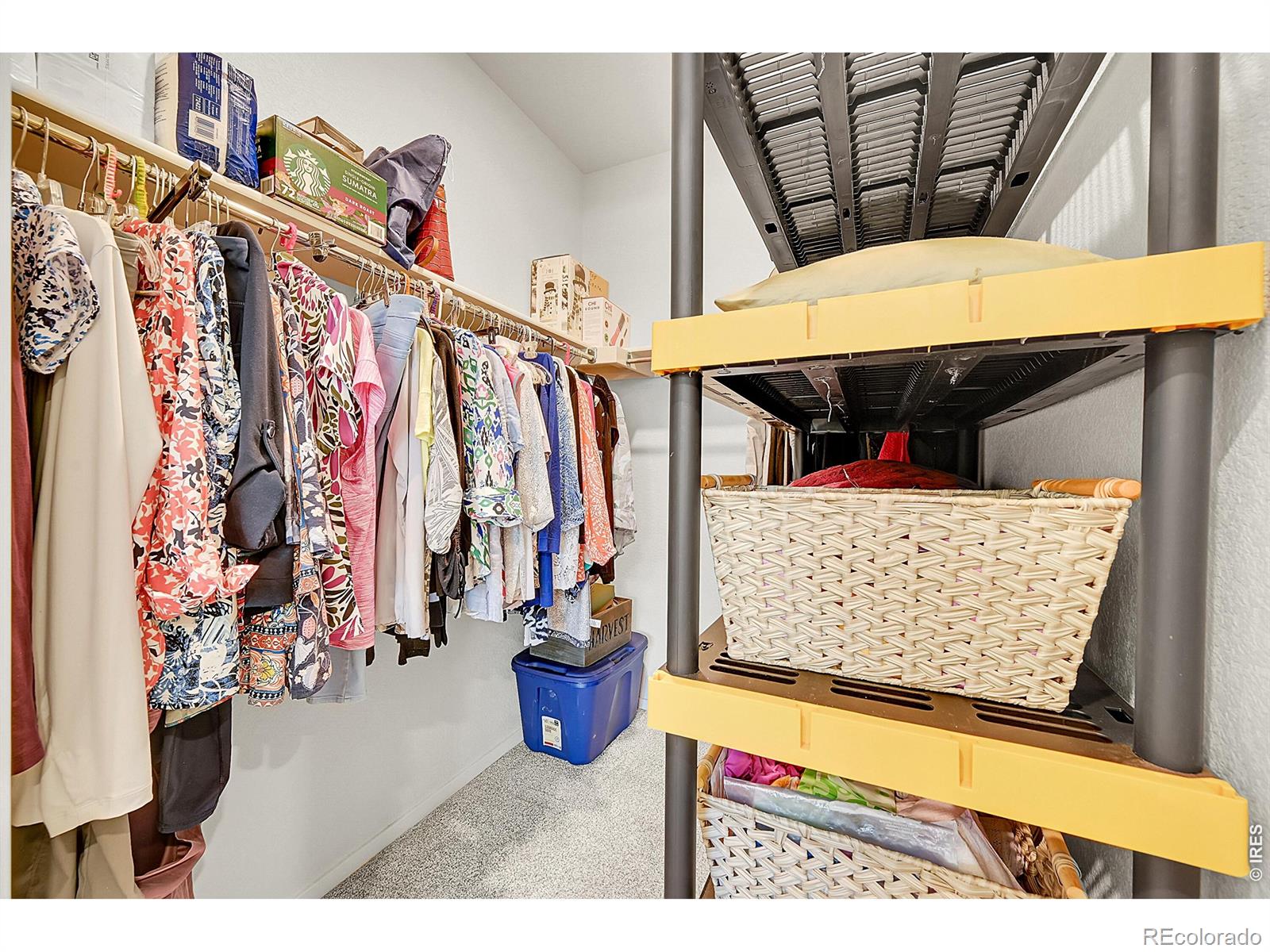 MLS Image #19 for 551  vicot way,fort collins, Colorado