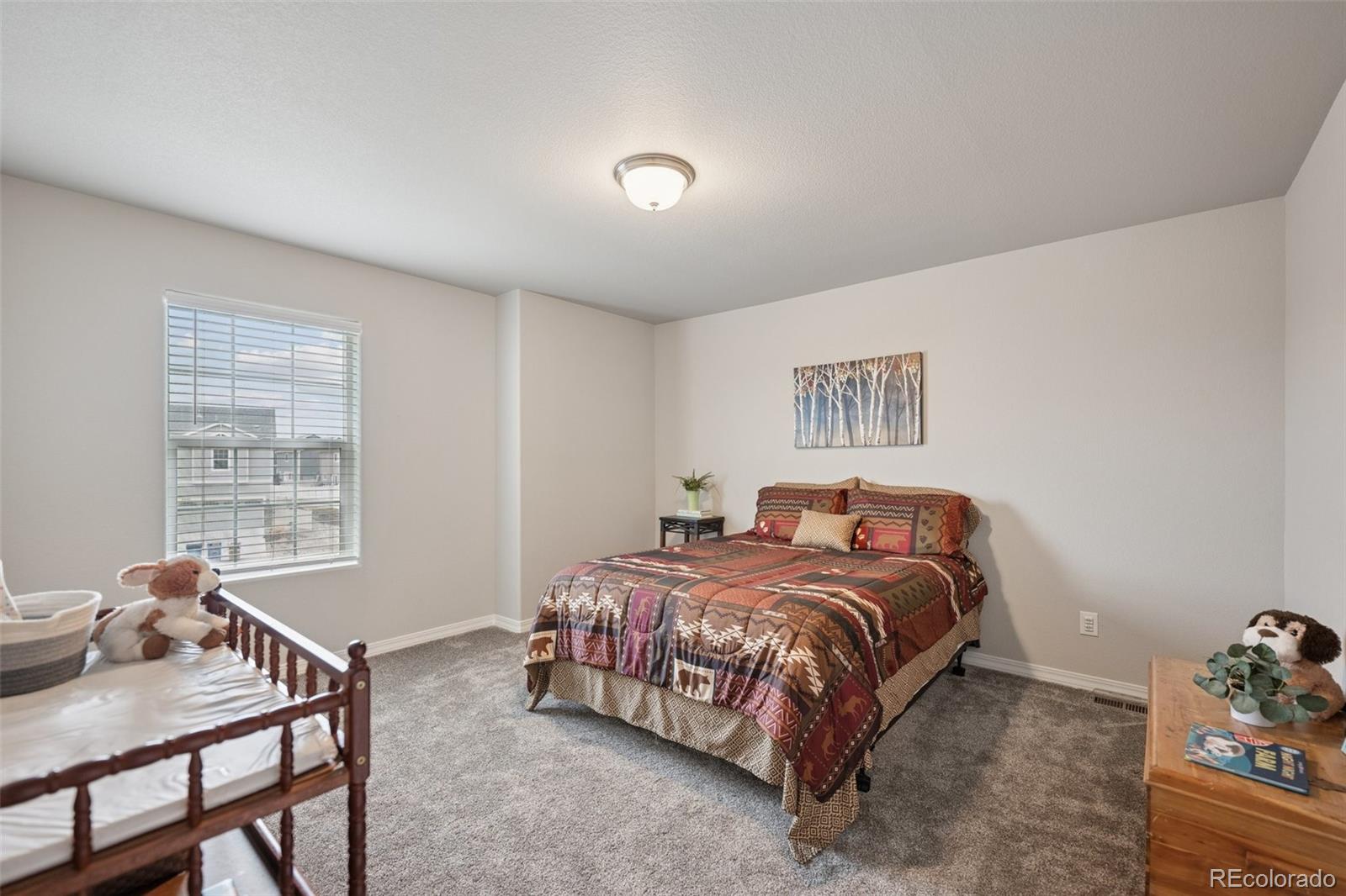 MLS Image #25 for 4445  zircon drive,colorado springs, Colorado