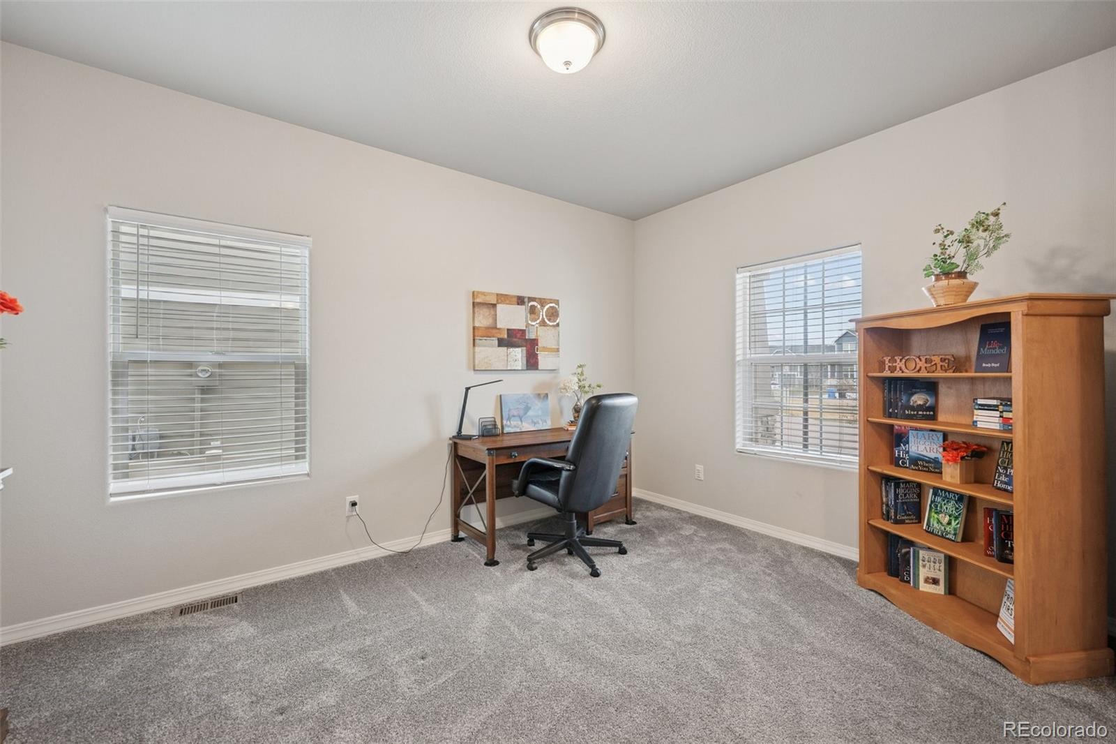 MLS Image #8 for 4445  zircon drive,colorado springs, Colorado