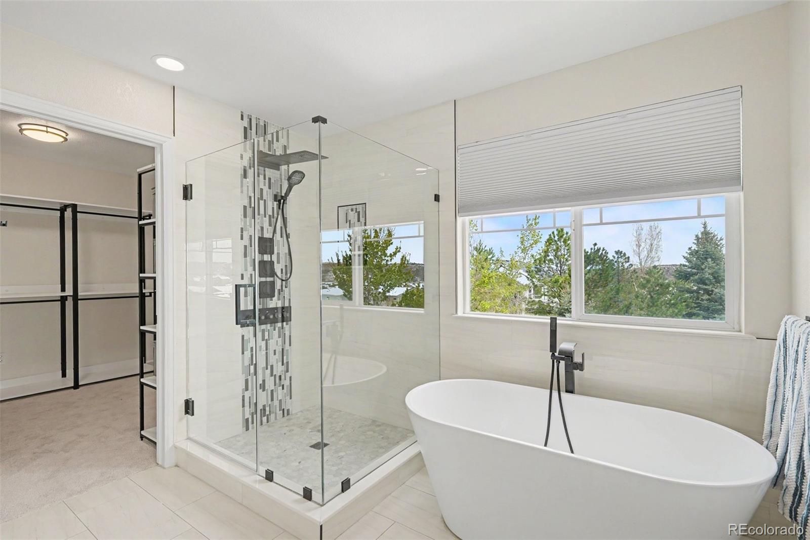 MLS Image #10 for 2005  fox haven drive,castle rock, Colorado