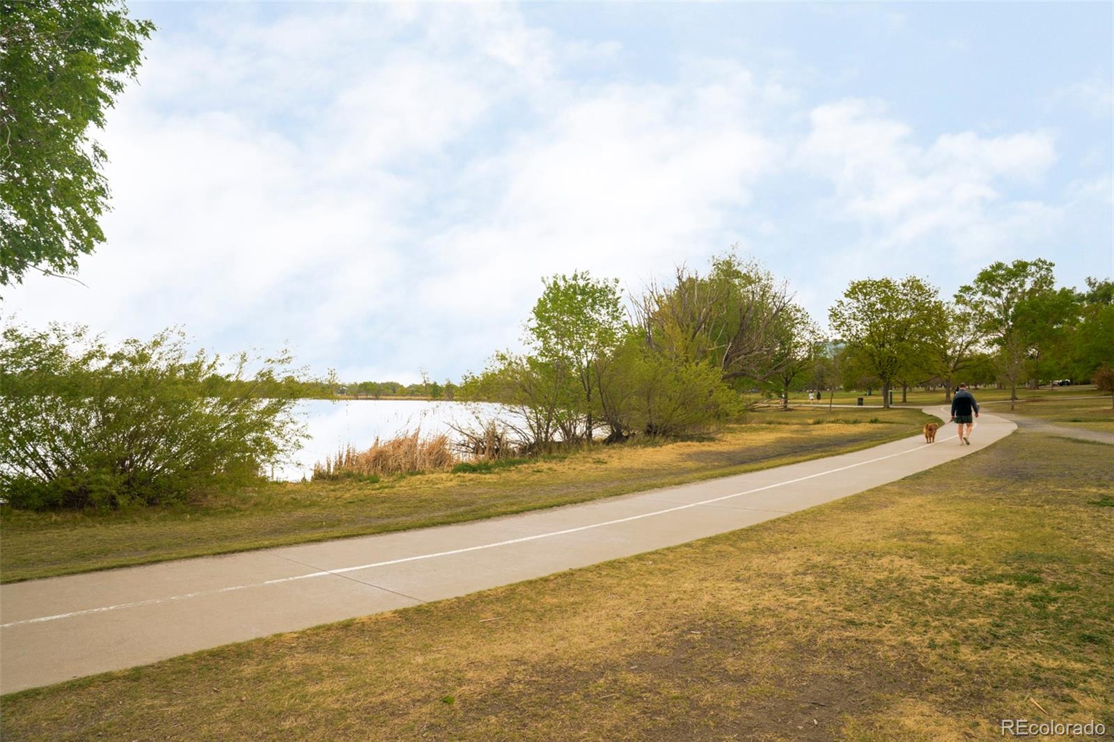 MLS Image #33 for 1695  zenobia street,denver, Colorado