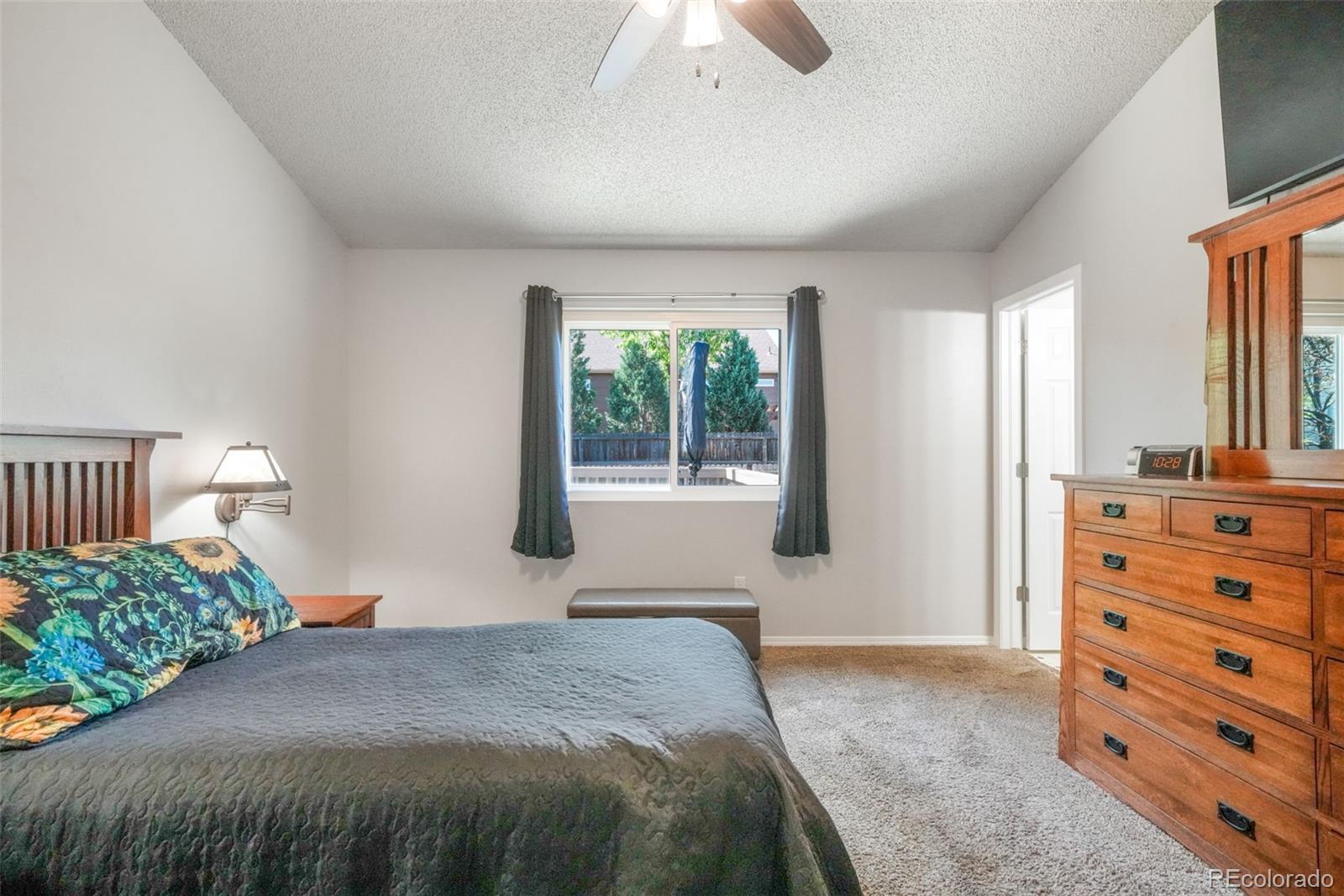 MLS Image #19 for 1643 s canoe creek drive,colorado springs, Colorado